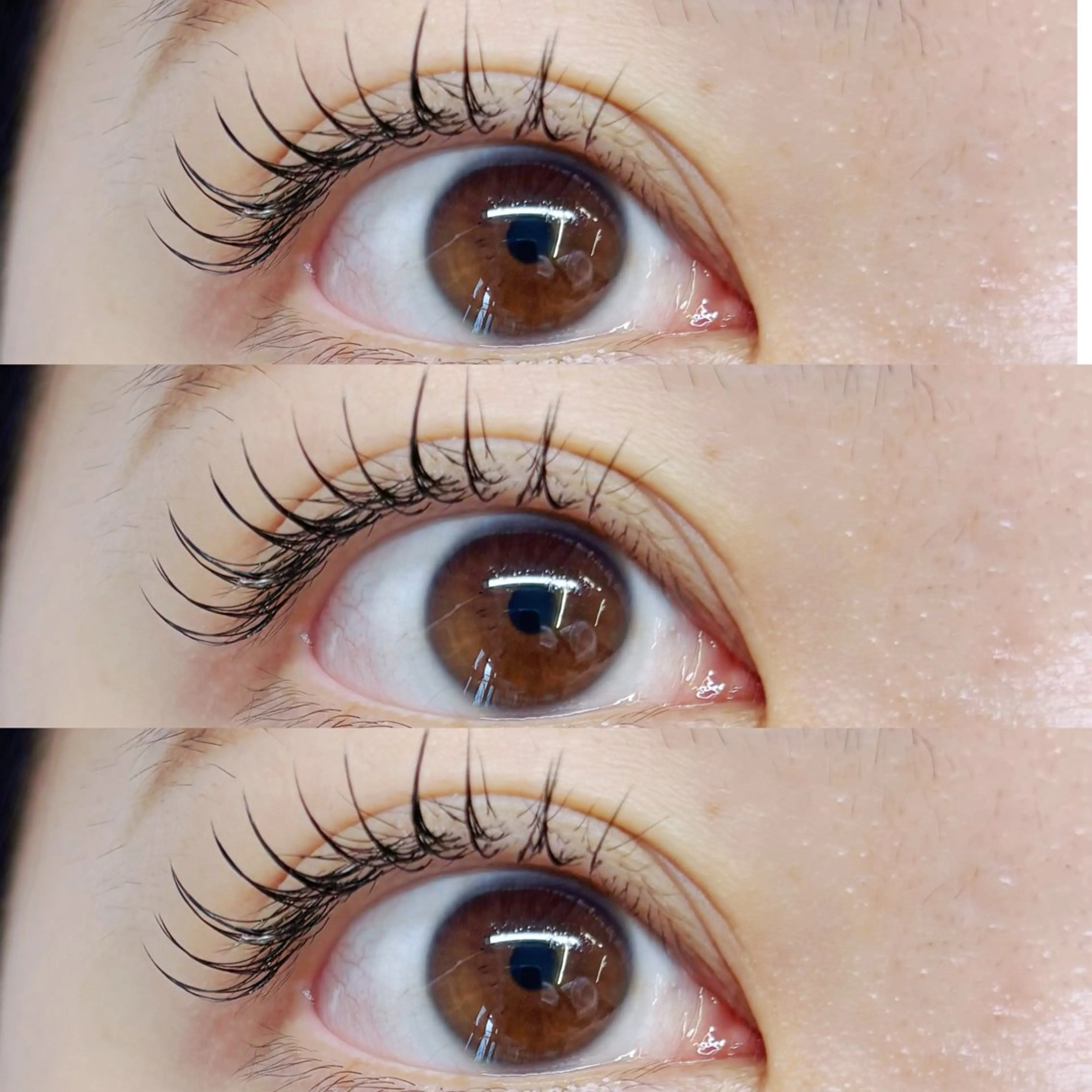 マツエク・マツパ フラットラッシュ カルフールノア大船/ Ririの眉毛・アイブロウイメージ