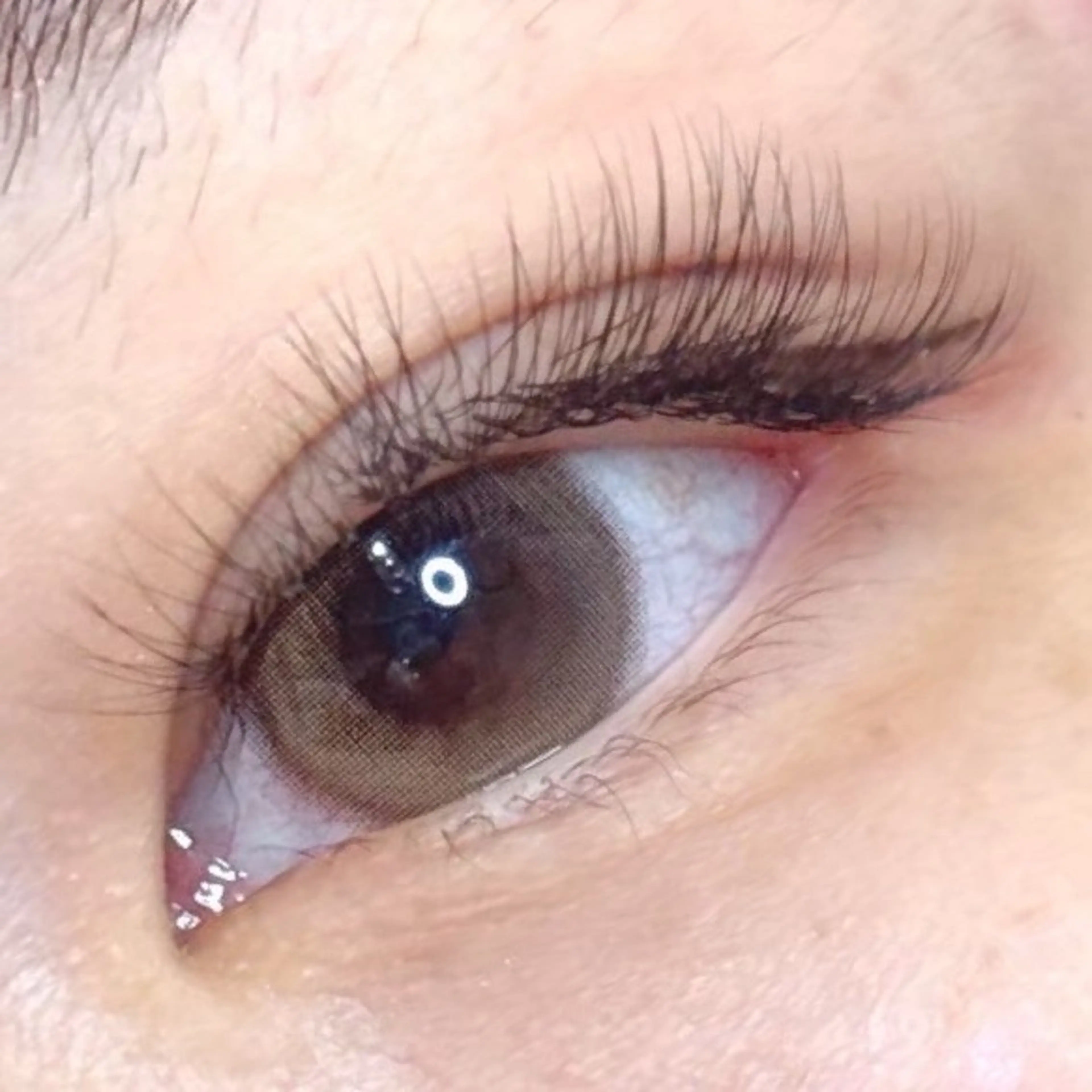 マツエク・マツパ マツエク 🎀韓国風 パリエク特化🎀りほのマツエク・マツパデザイン