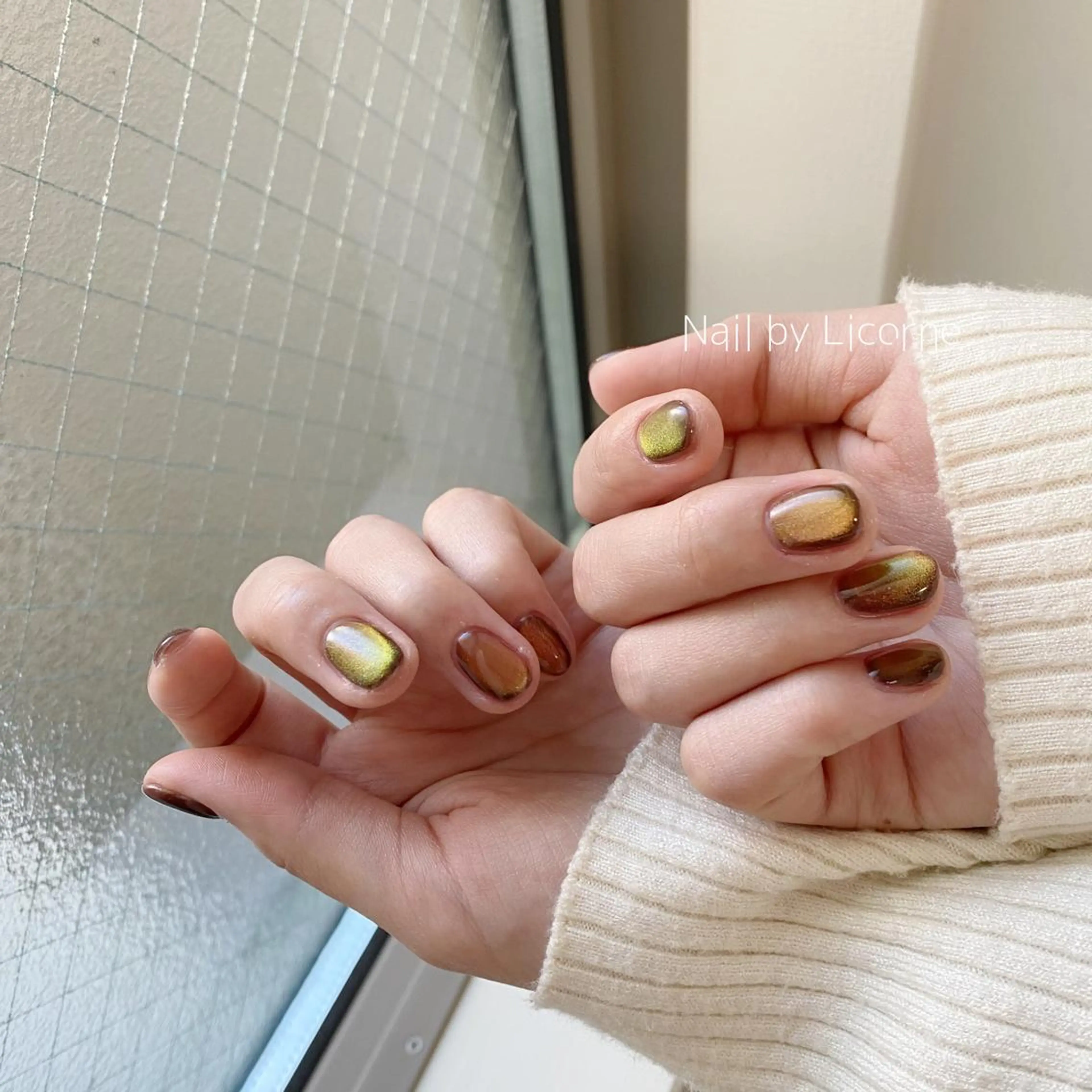 ネイル アートネイル オーロラネイル フレンチネイル 氷ネイル・うるうるネイル マグネットネイル ハンドネイル Nail by Licorneのネイルデザイン