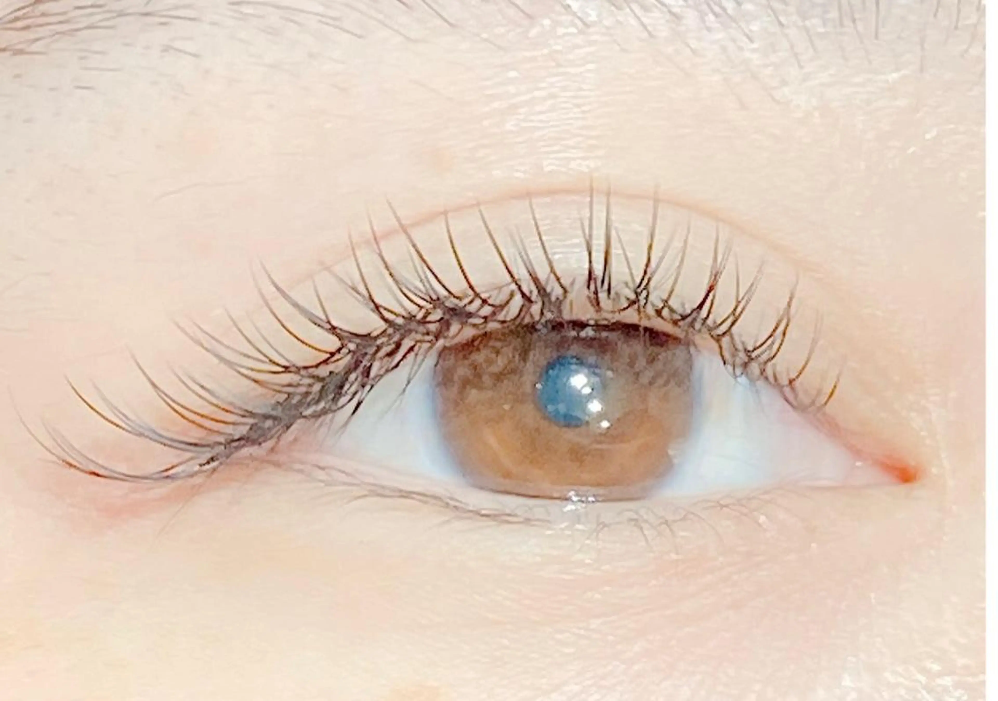 マツエク・マツパ サロン Mのマツエク・マツパデザイン