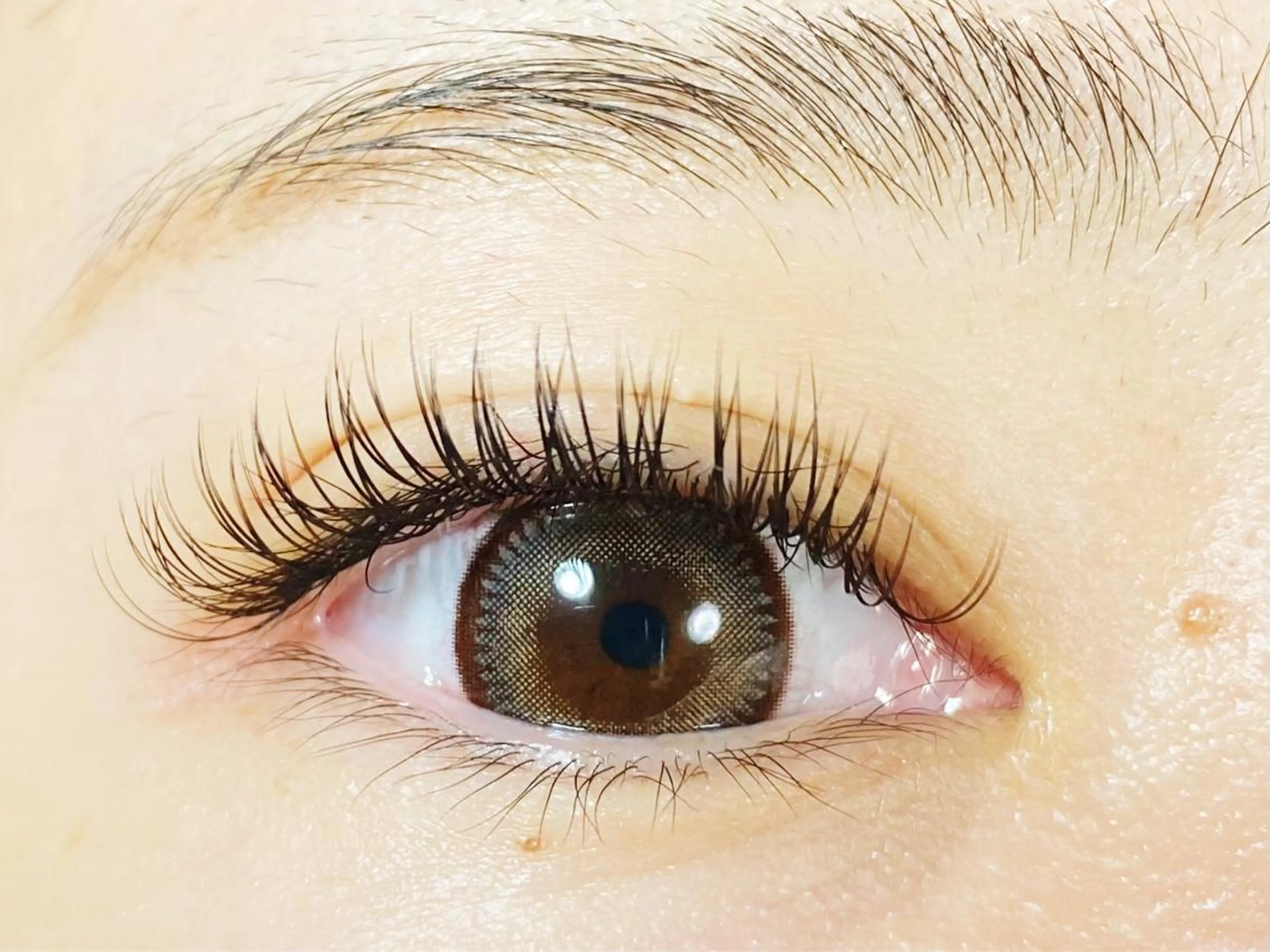 ❤️持続力最強❤️モチが良くバラつきにくいと好評 ❤️120本2Dエクステ（オフ込み）5700円の写真