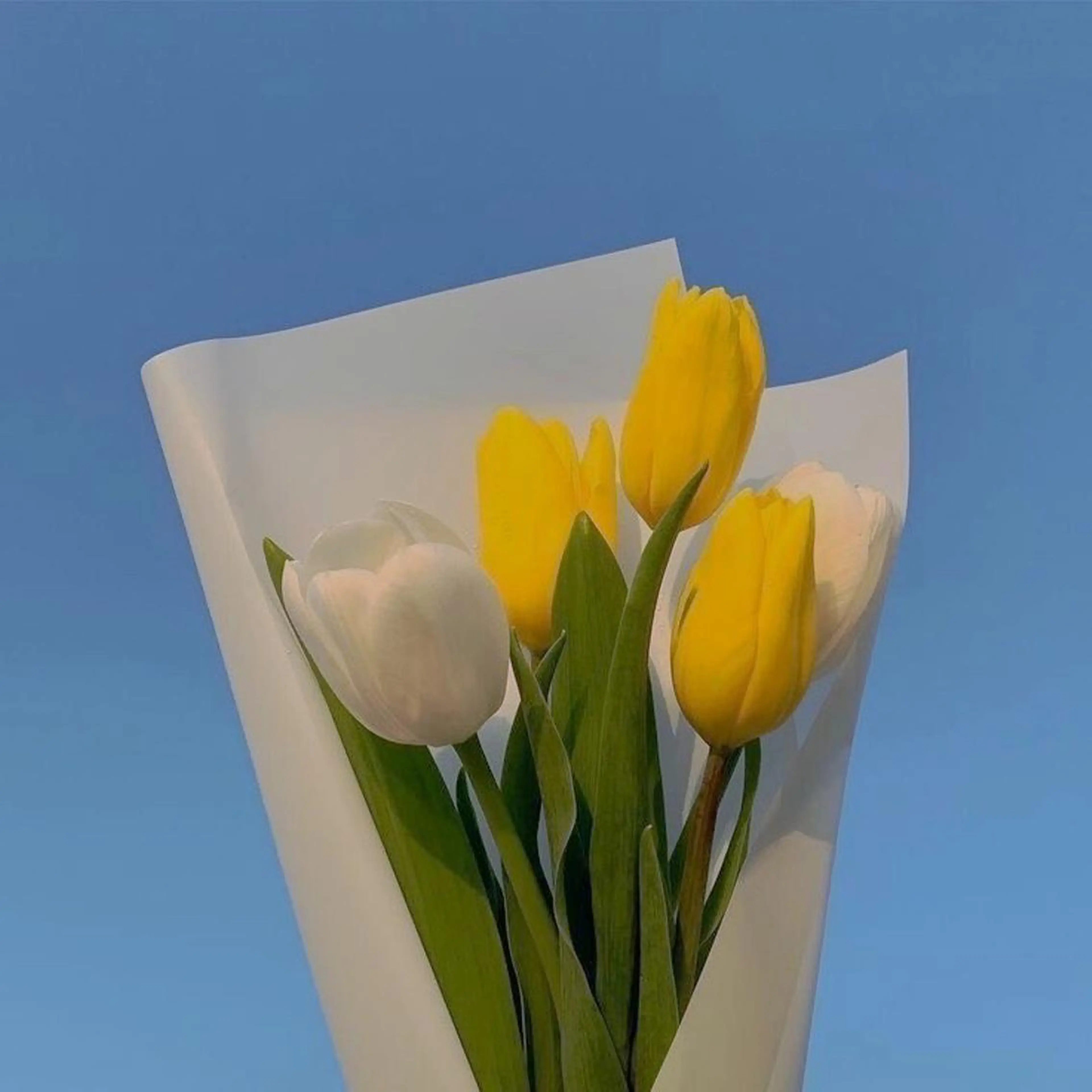 パーマ 🥣 hashi 🛋️のヘアスタイル