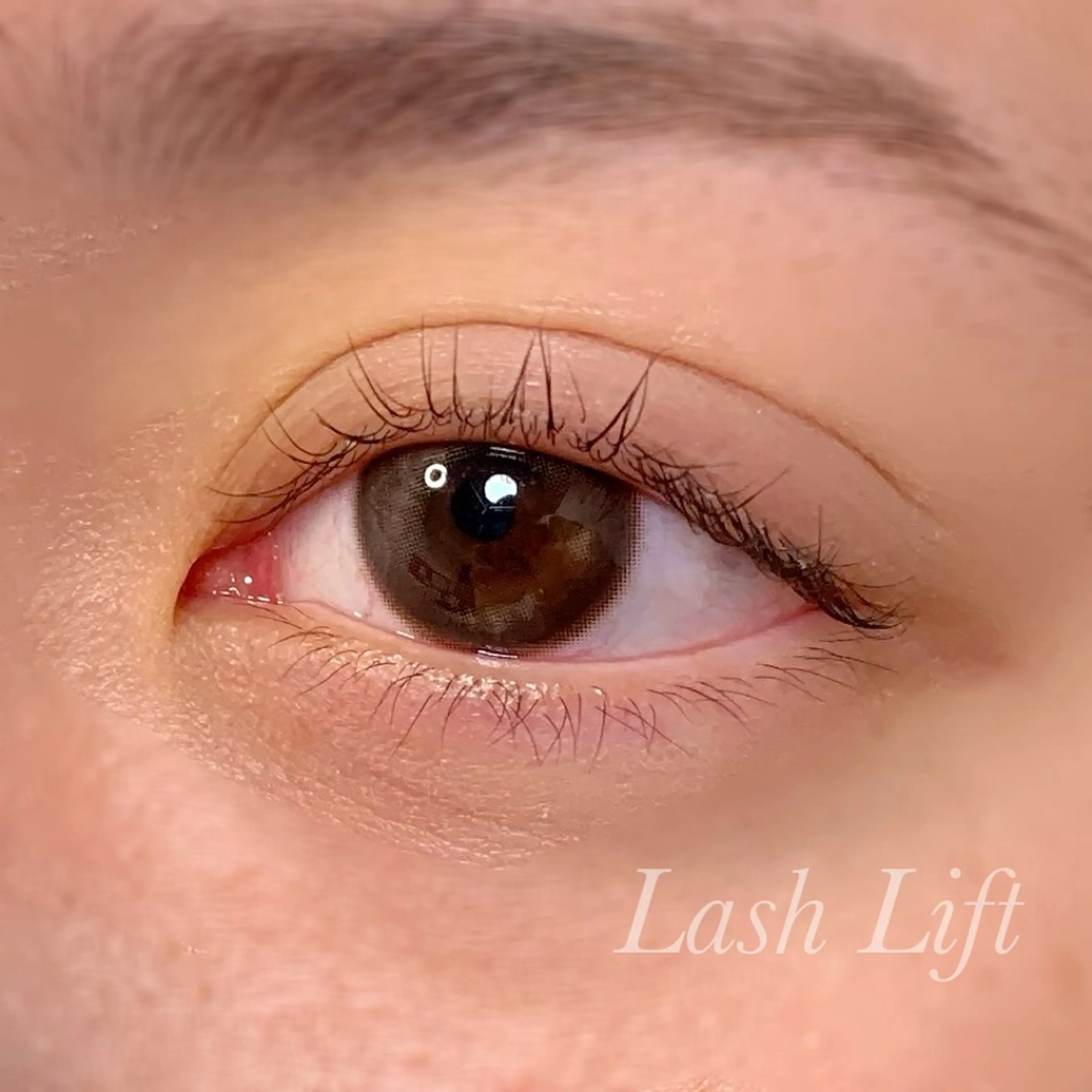 マツエク・マツパ まつげパーマ マツパ Ayumi.pro 🍆N《4階》のマツエク・マツパデザイン