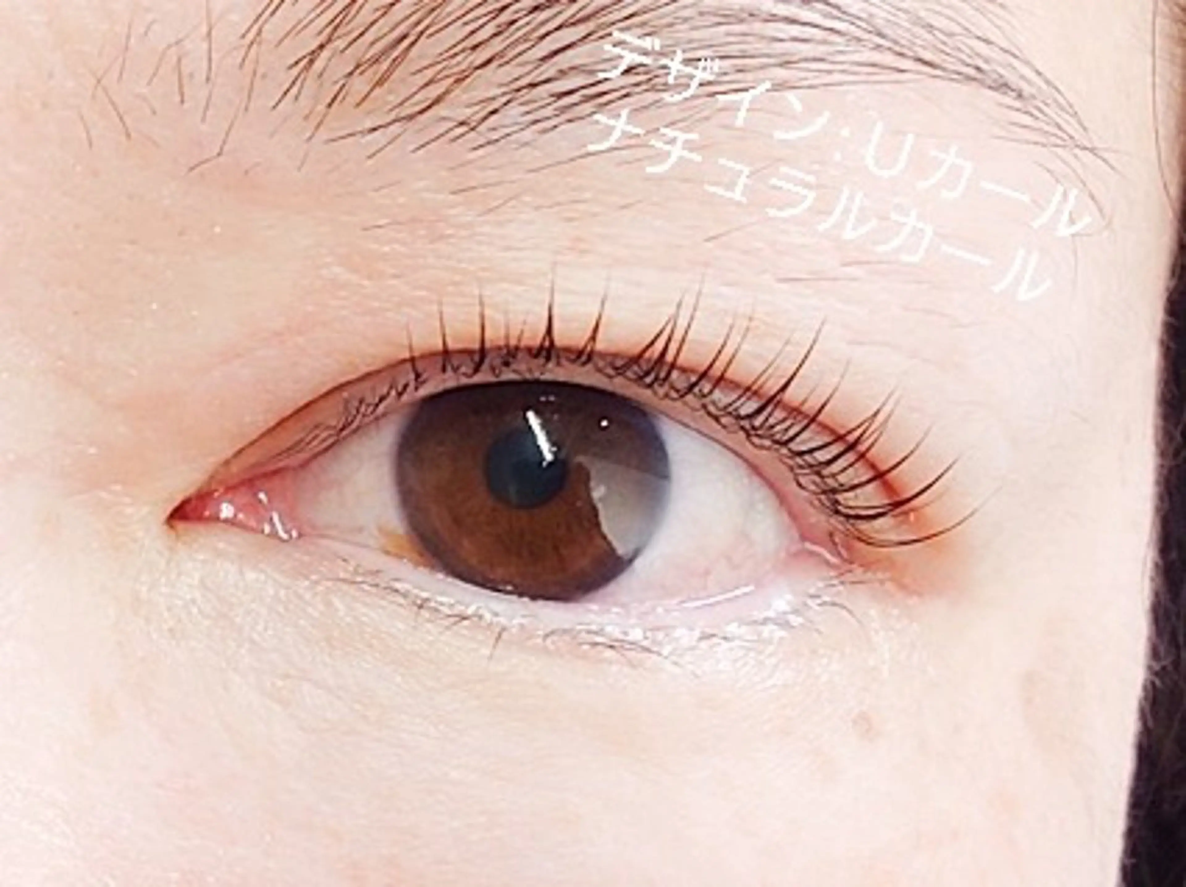 マツエク・マツパ まつげパーマ ビューティーサロン MOMOのマツエク・マツパデザイン