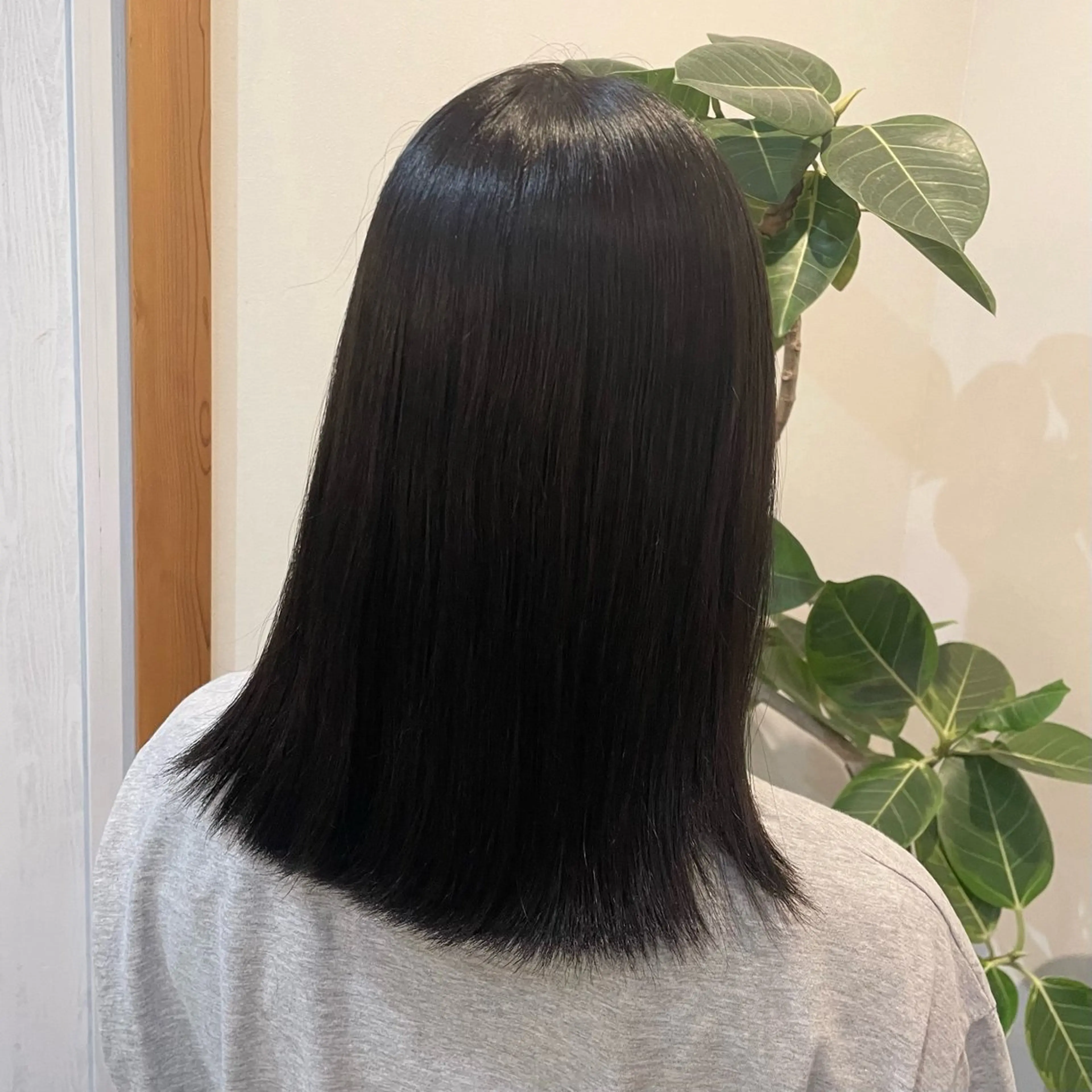 ミディアム カラー 黒髪 透明感カラー 学生 こいけ みきののヘアスタイル