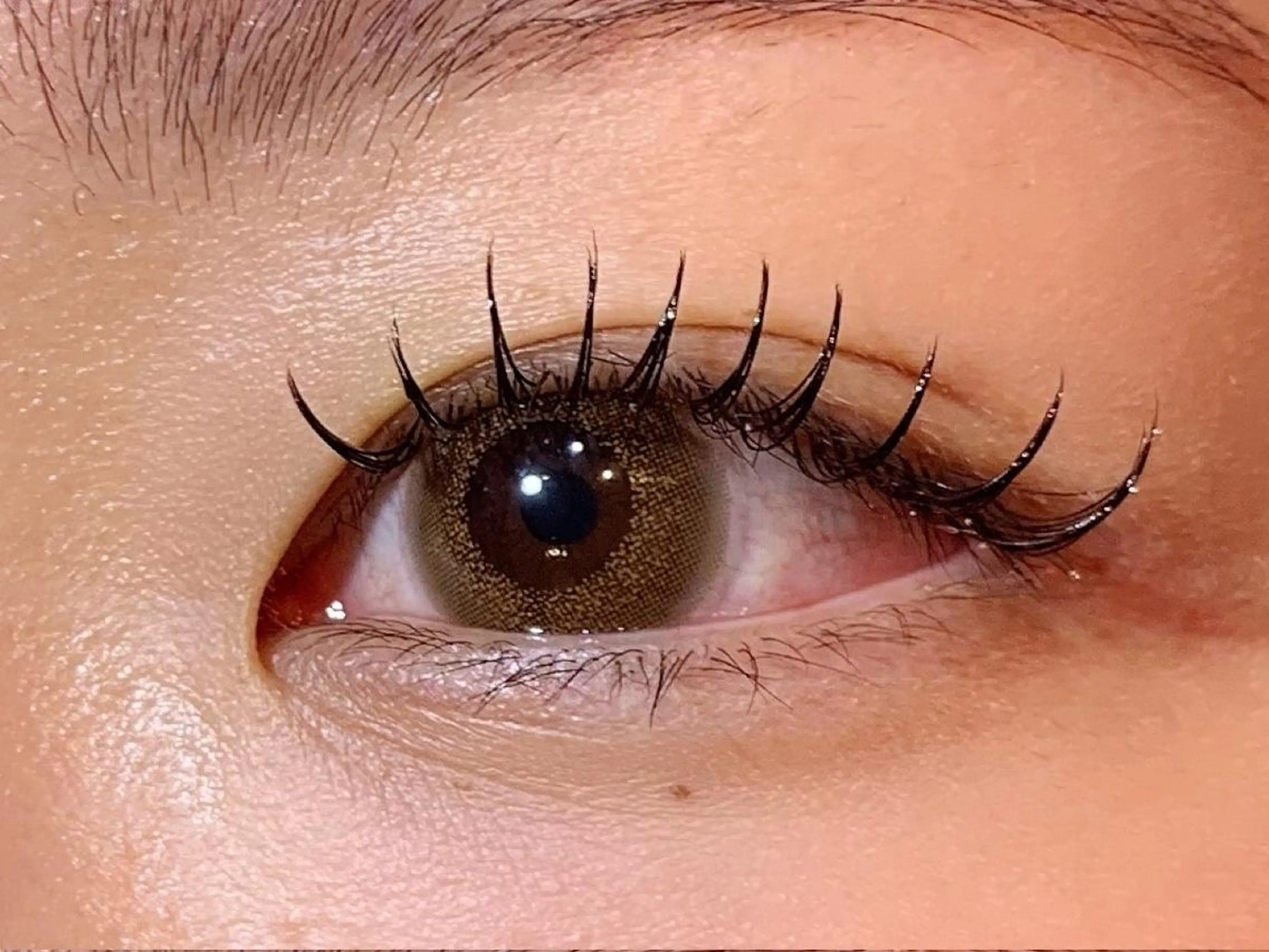 練習モデル募集☆フラットラッシュ120本☆　オフ込の写真