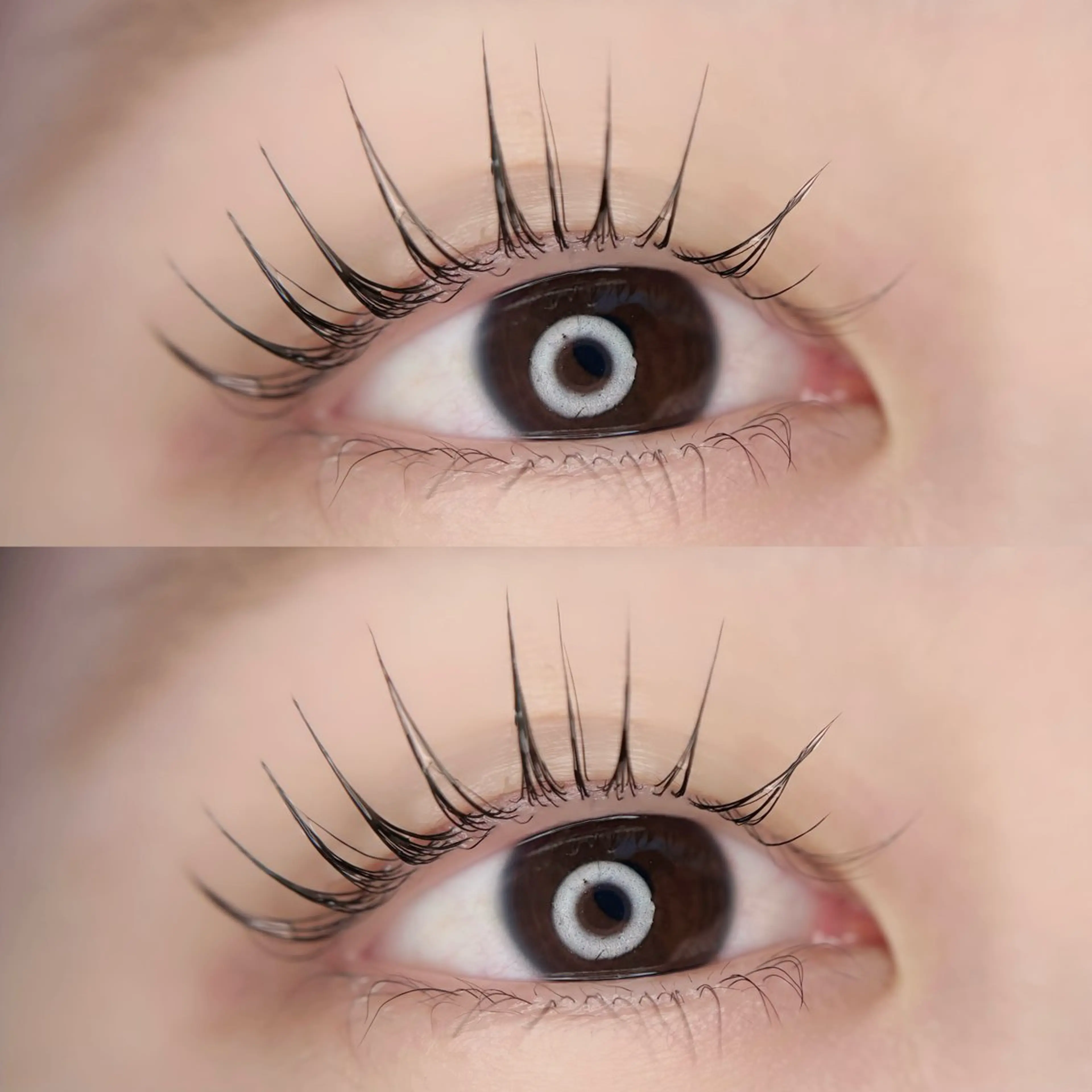 マツエク・マツパ パリジェンヌラッシュリフト マツパ 🦋MaaZlash 南流山FUKA🤍のマツエク・マツパデザイン