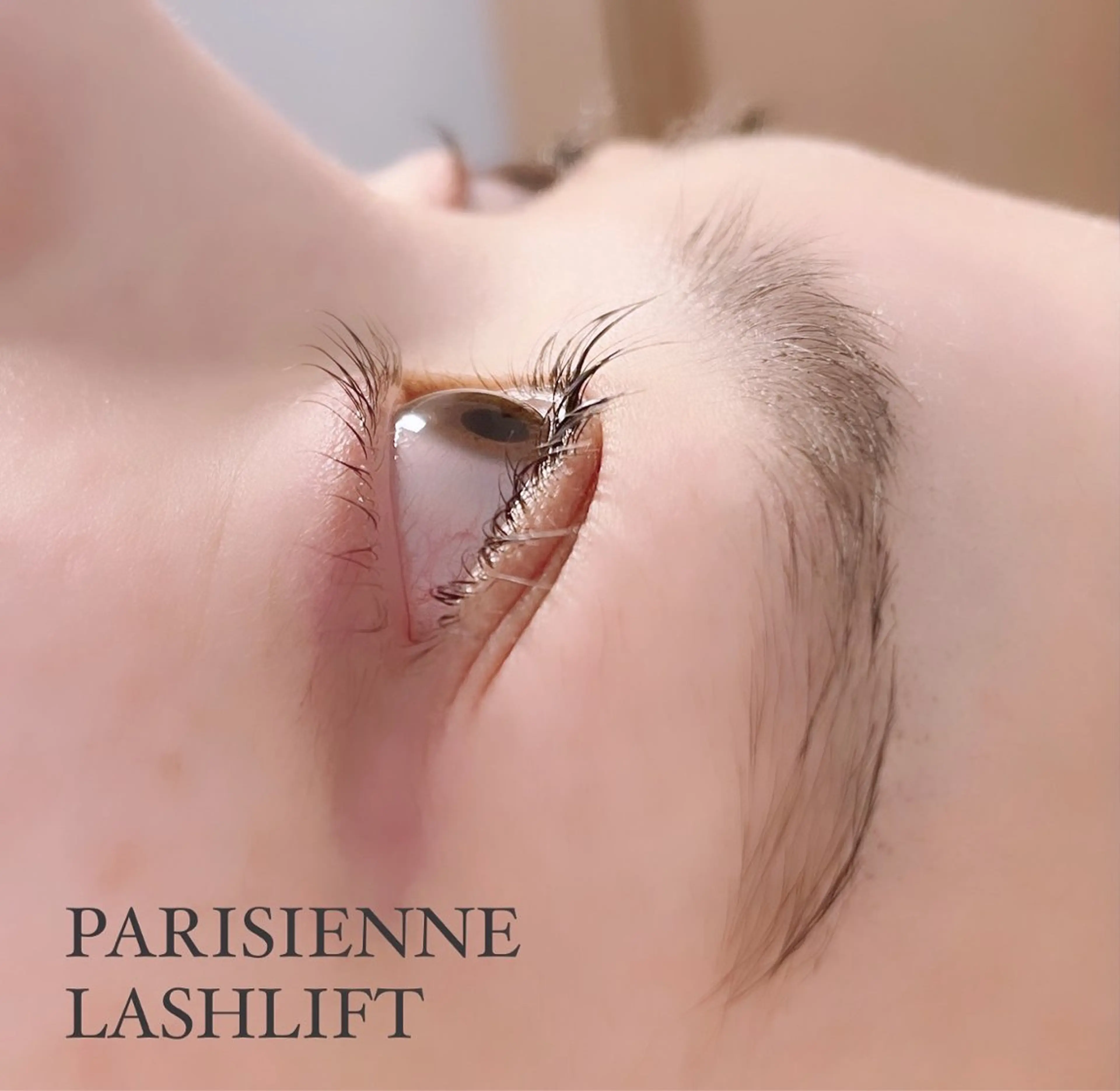 マツエク・マツパ パリジェンヌラッシュリフト マツパ princess 森 碧海のマツエク・マツパデザイン