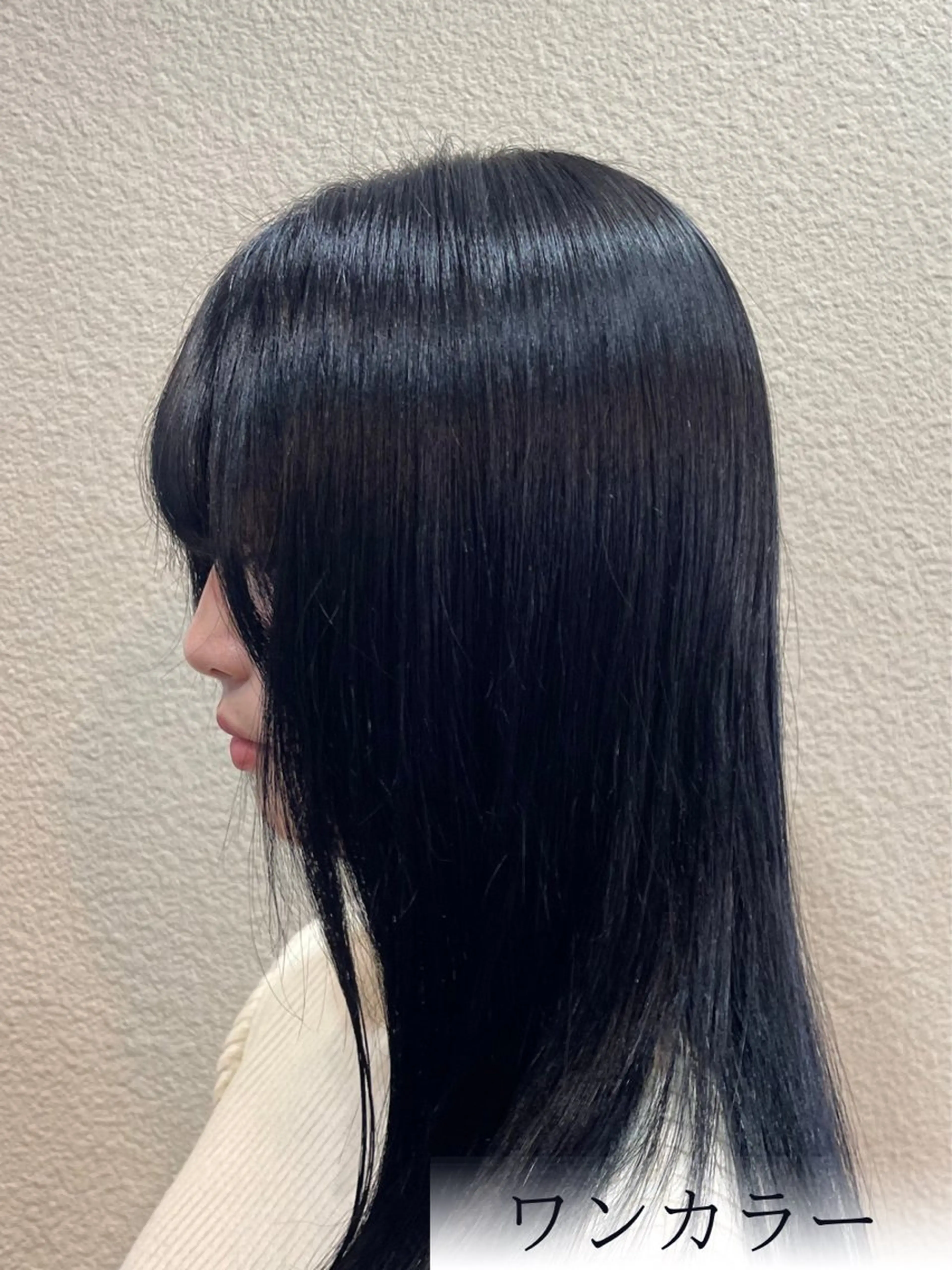 ロング カラー 黒髪 ブルーカラー ブルーブラック ハイトーン/レイヤー 似合わせ・ユキノのヘアスタイル