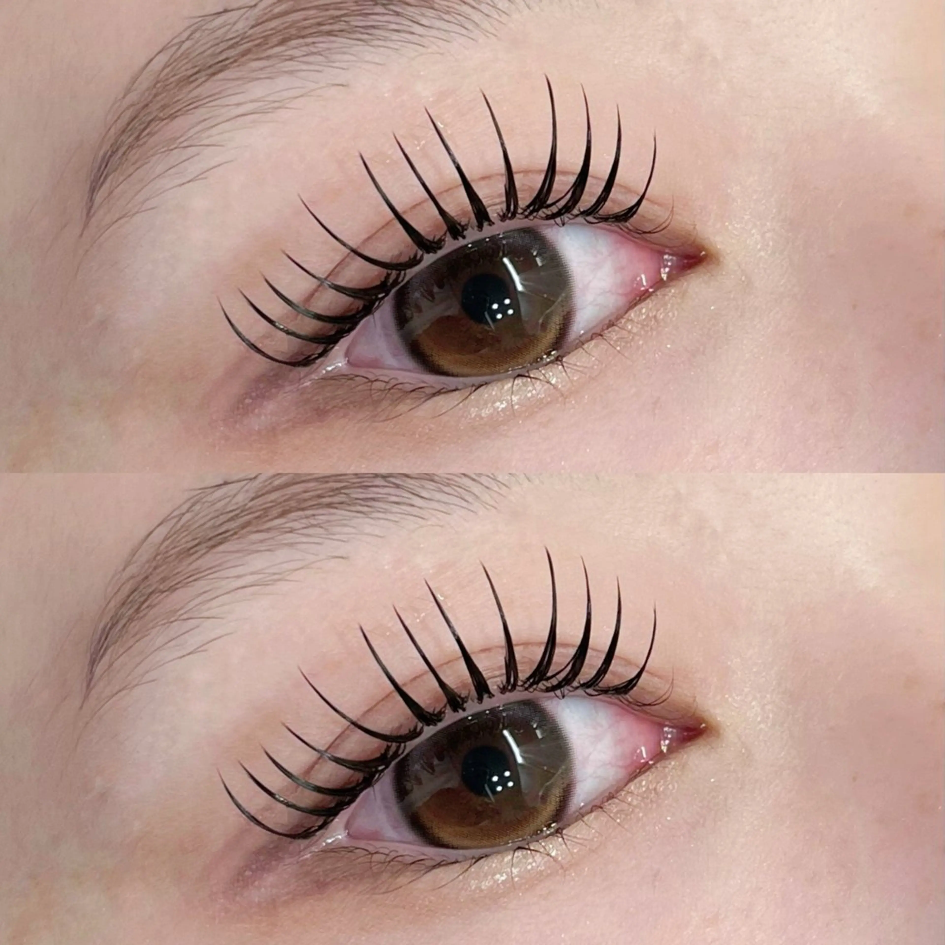 マツエク・マツパ マツエク coco / EYELAのマツエク・マツパデザイン