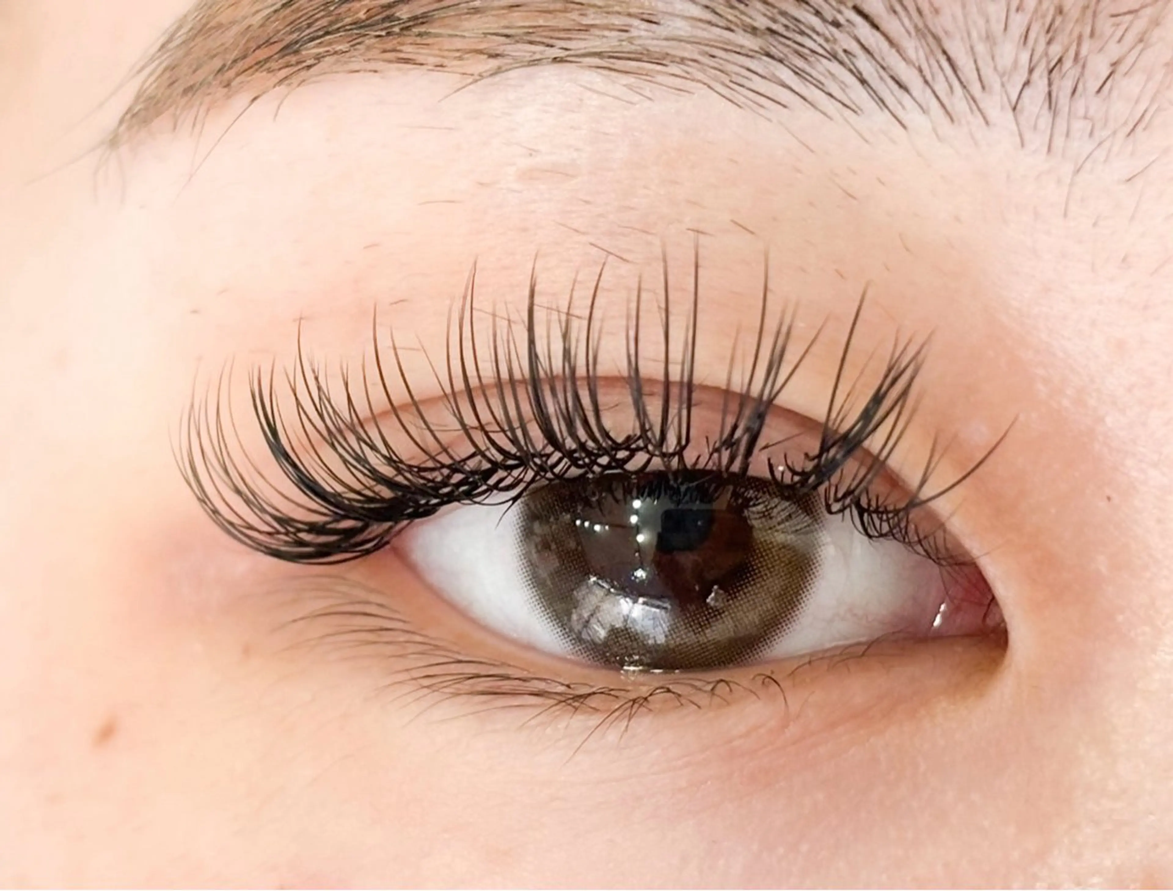 マツエク・マツパ Aprilush🦋 Cieloのマツエク・マツパデザイン