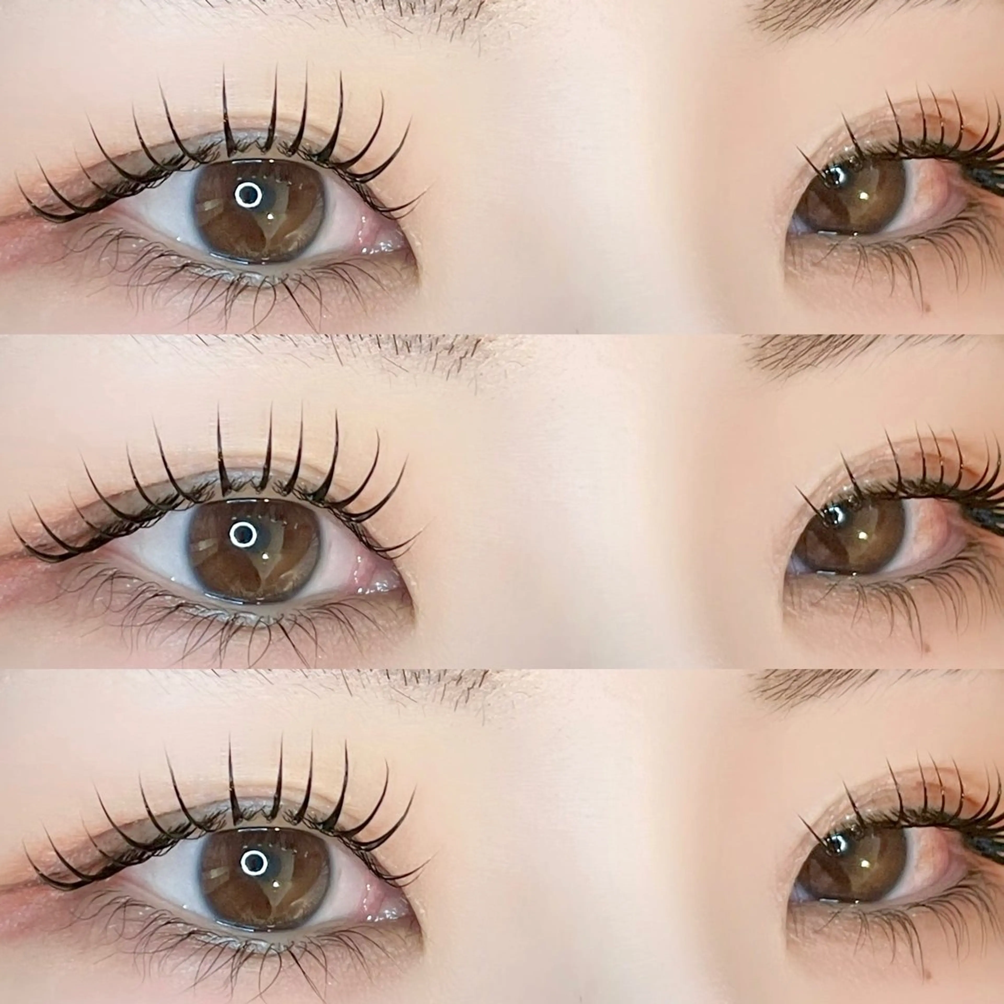 まつ毛パーマ（デザイン3種類から選べます♪）の写真