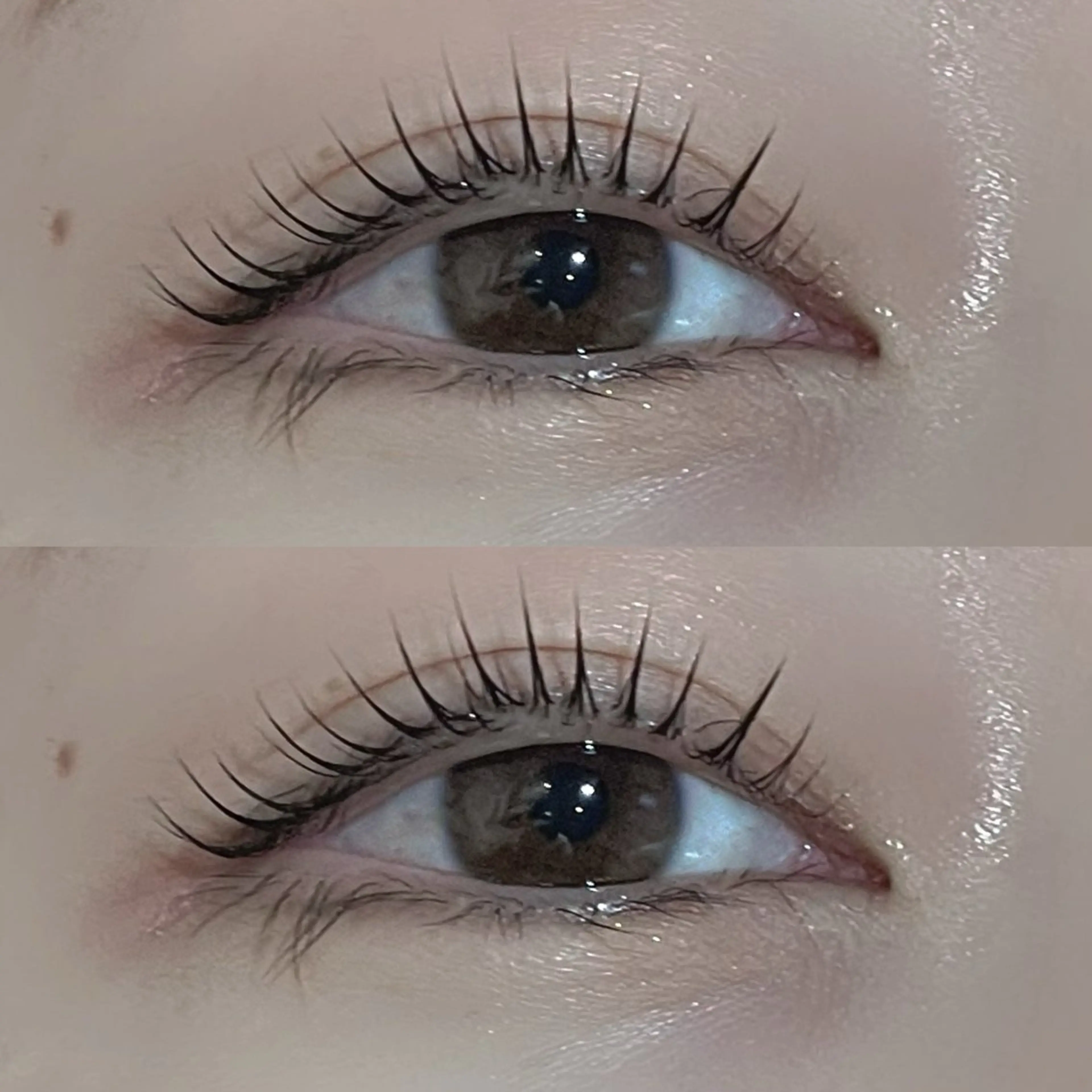 【アイシャンプー付き🛁🫧】上まつげパーマ  (コーティング保湿付き︎︎☁)の写真