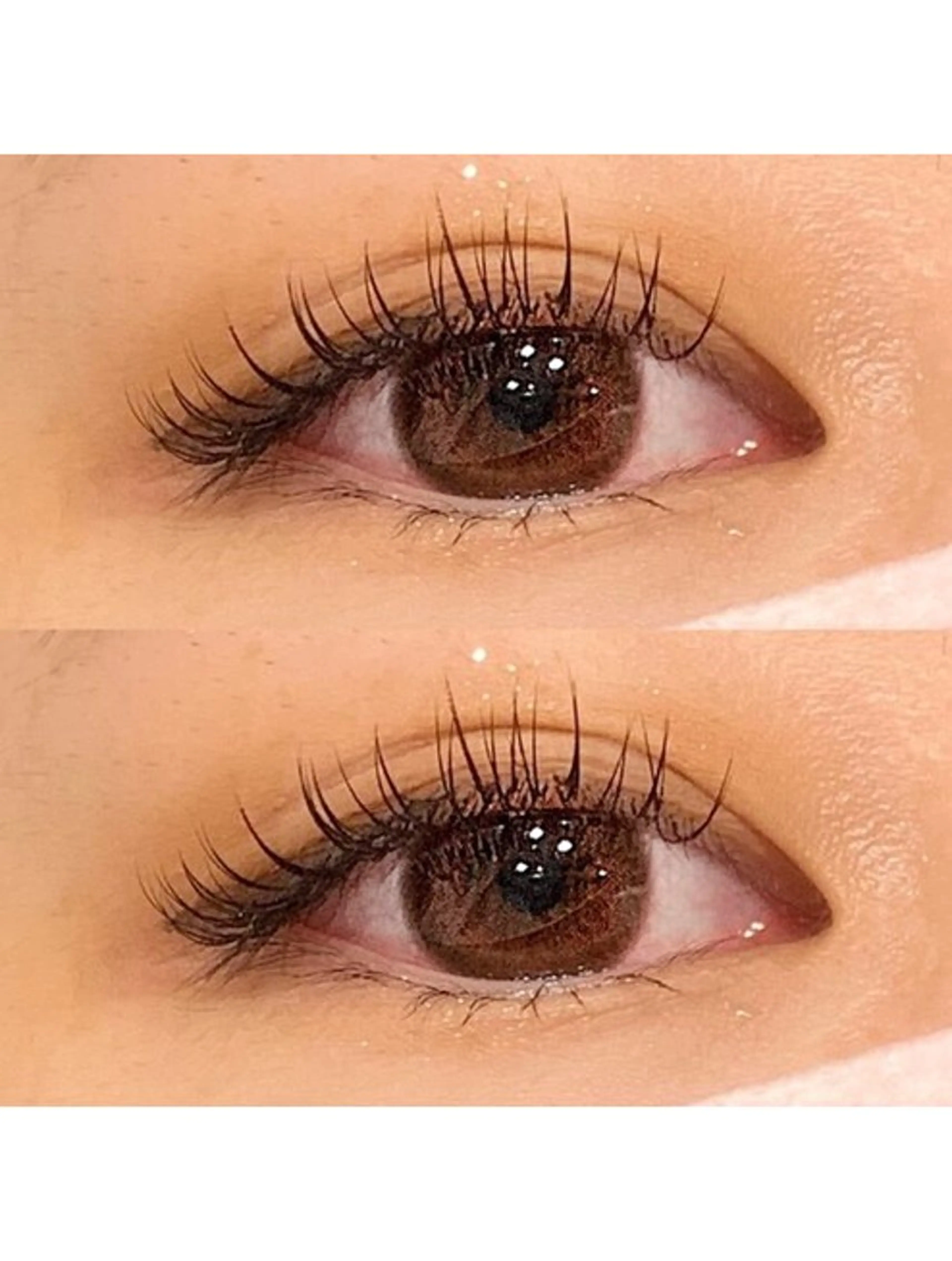 ☆シングルフラット120☆片目60本の写真