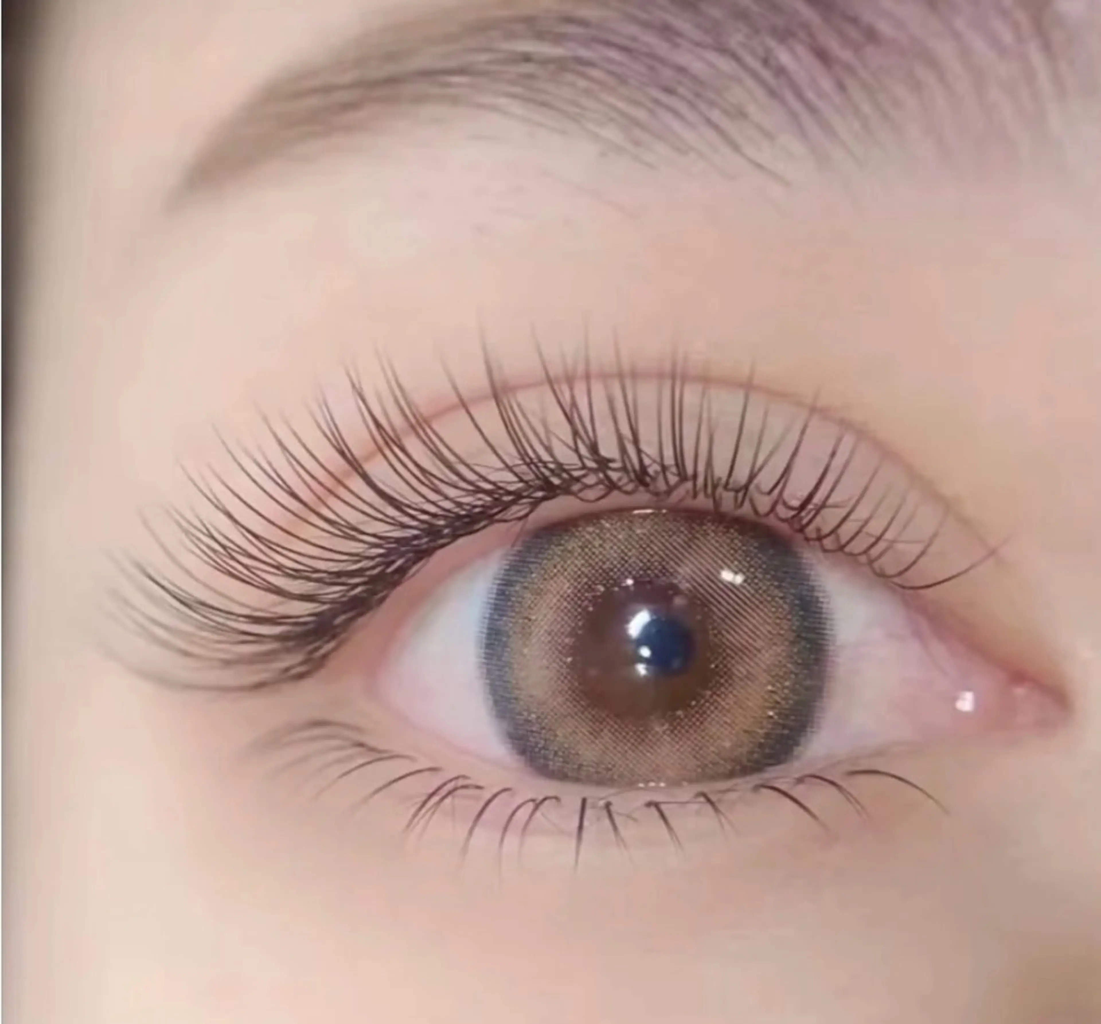 マツエク・マツパ マツエク A 池袋マツエクのマツエク・マツパデザイン