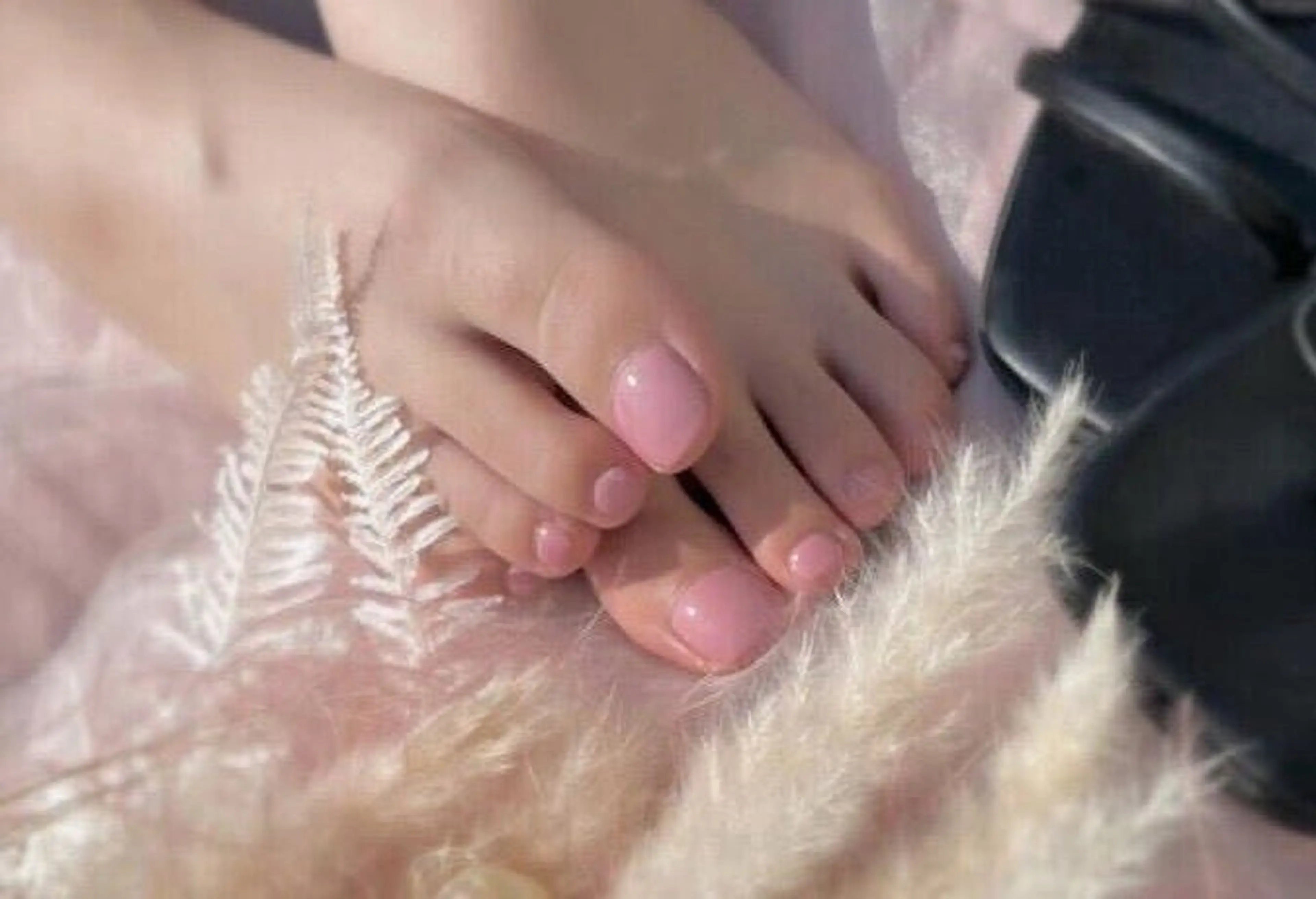 ネイル フットネイル ワンカラーネイル フットネイル 【パラジェル専門店】 Ayakaのネイルデザイン