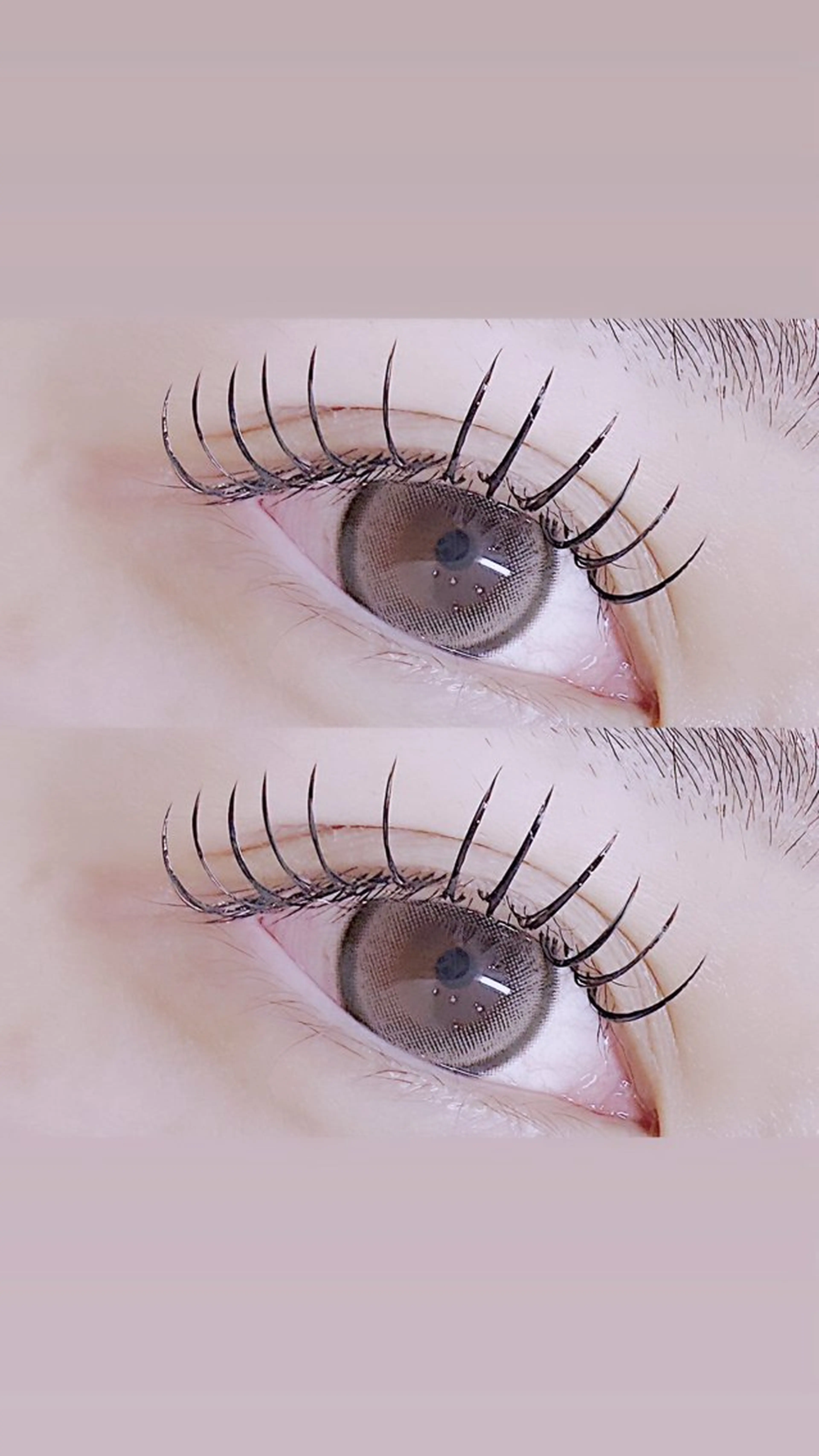 《オフ込み》バインドロック80束 ¥6,000の写真