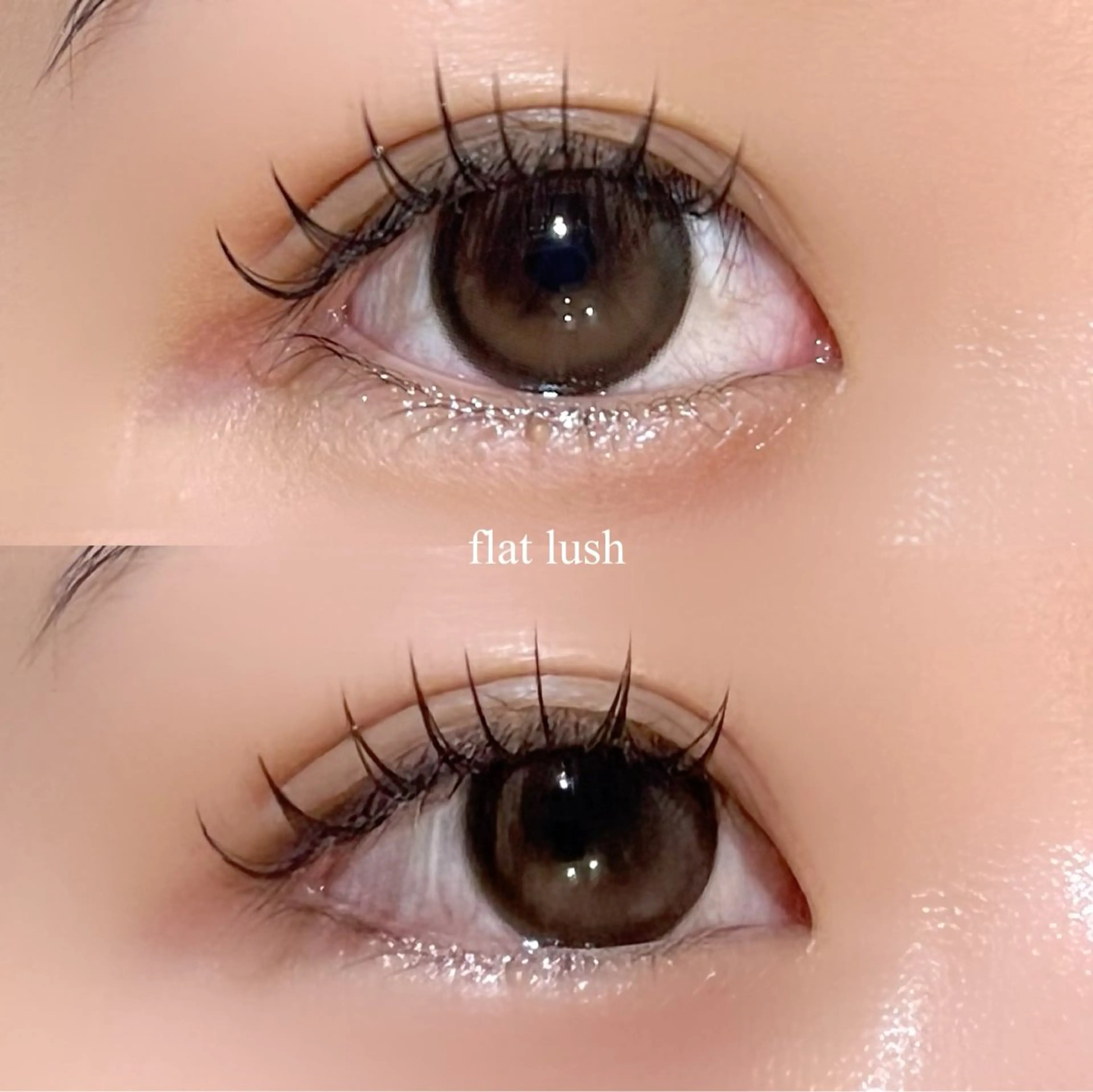 マツエク・マツパ マツエク mona 🎀韓国まつパ/眉毛のマツエク・マツパデザイン