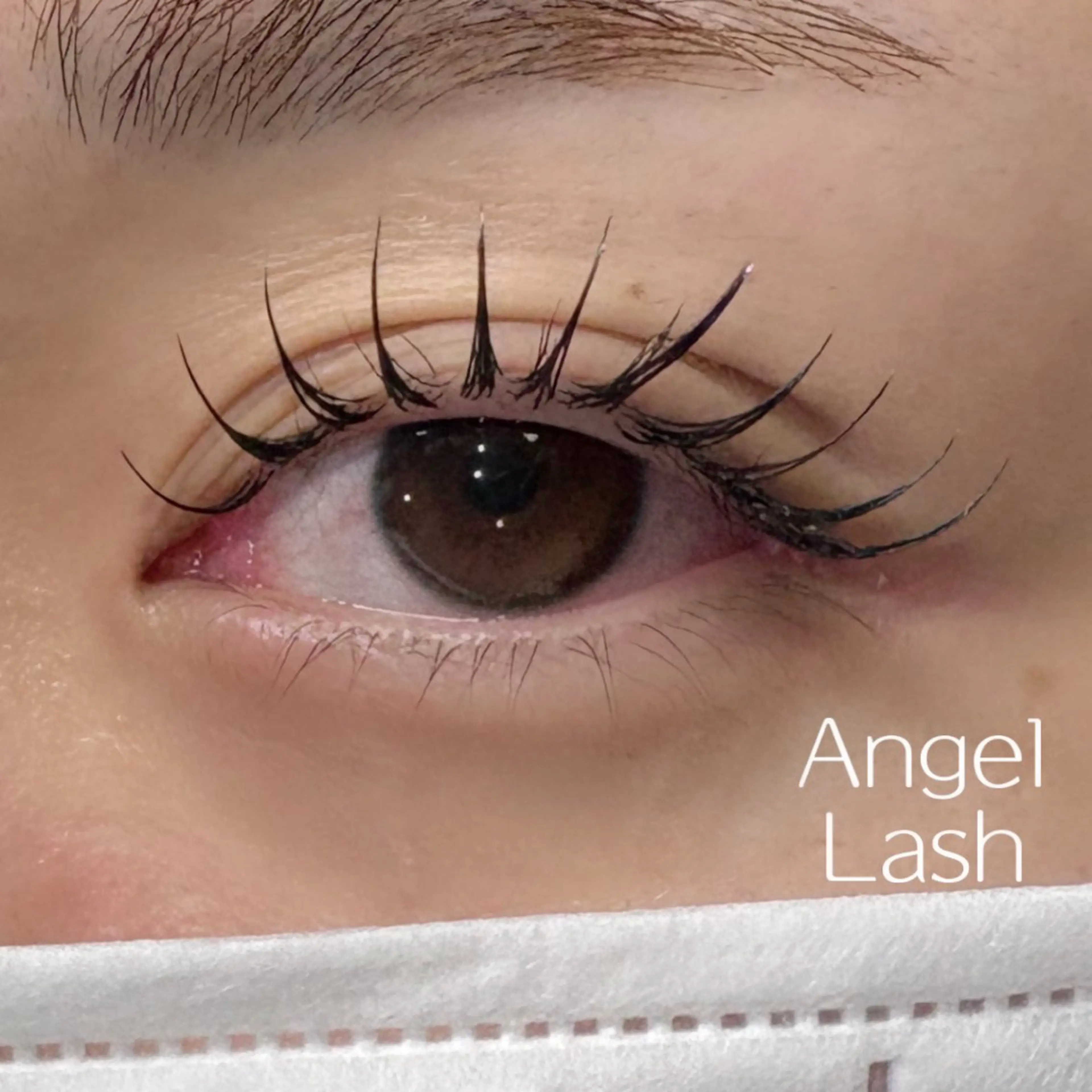 マツエク・マツパ 束感まつ毛 フラットラッシュ AngelLash所属・AngleLash hayashiのマツエク・マツパデザイン
