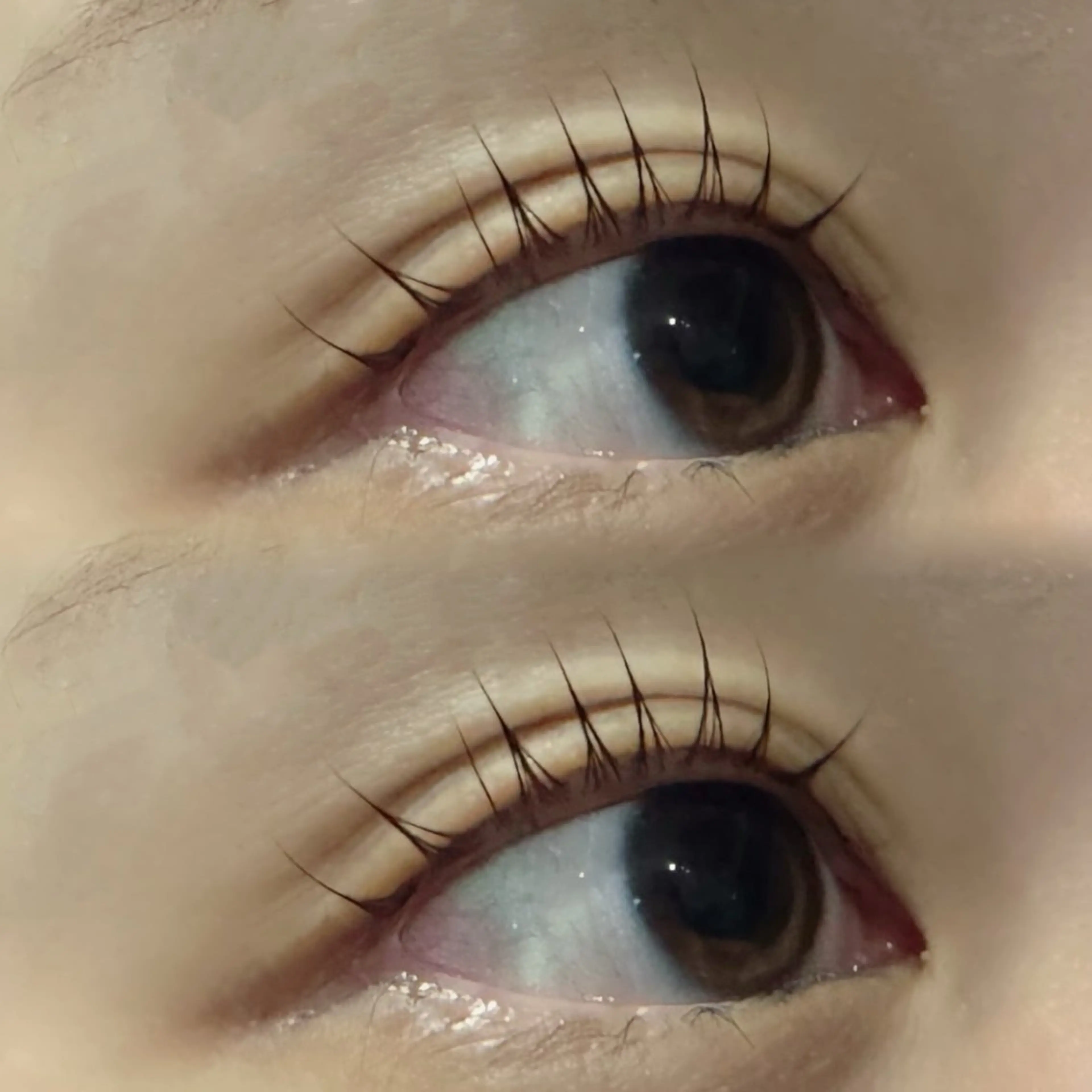 マツエク・マツパ マツパ laboT Momokaのマツエク・マツパデザイン