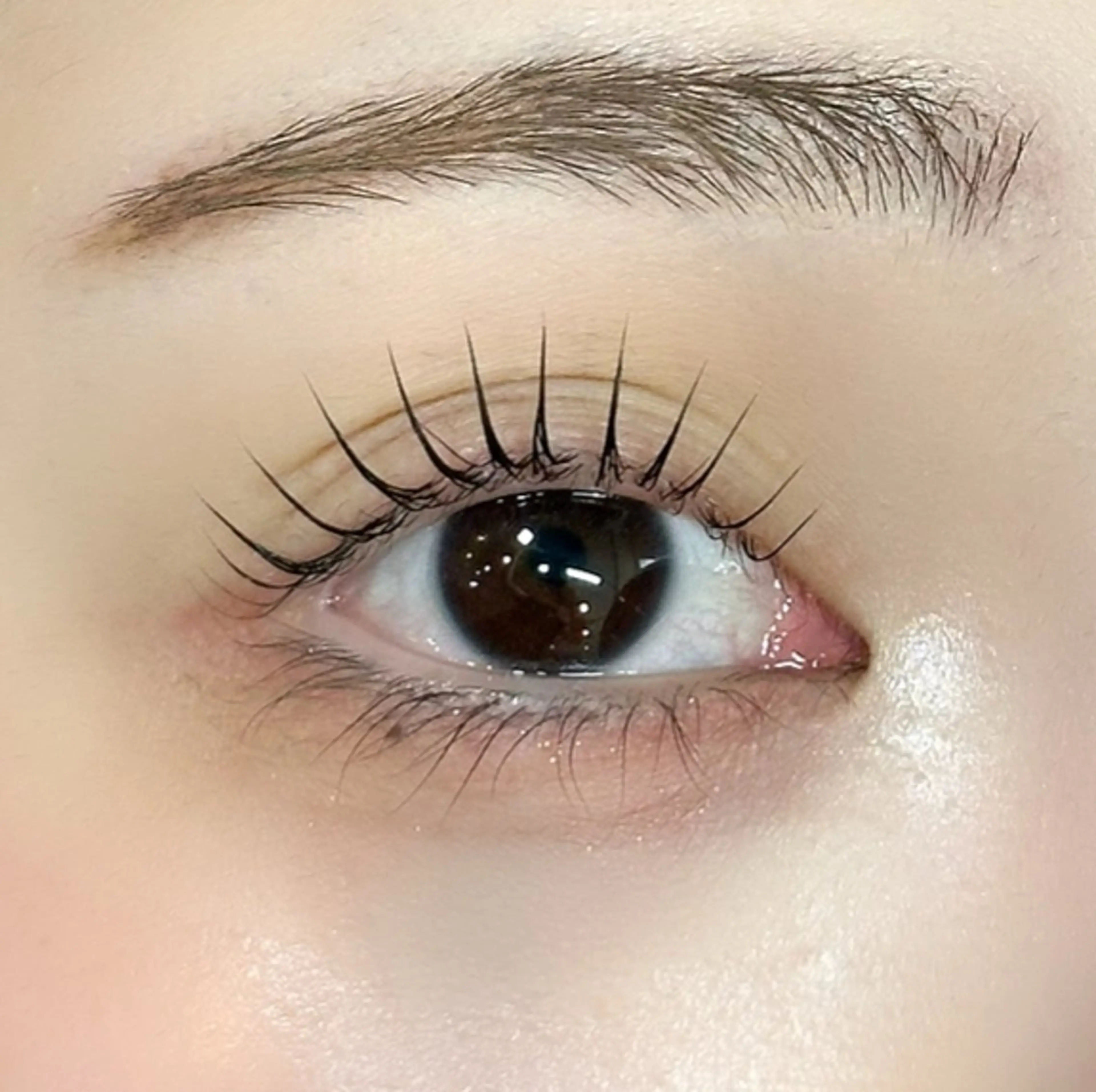 【根元から立ち上げたい方に🩶】パリジェンヌラッシュリフトの写真