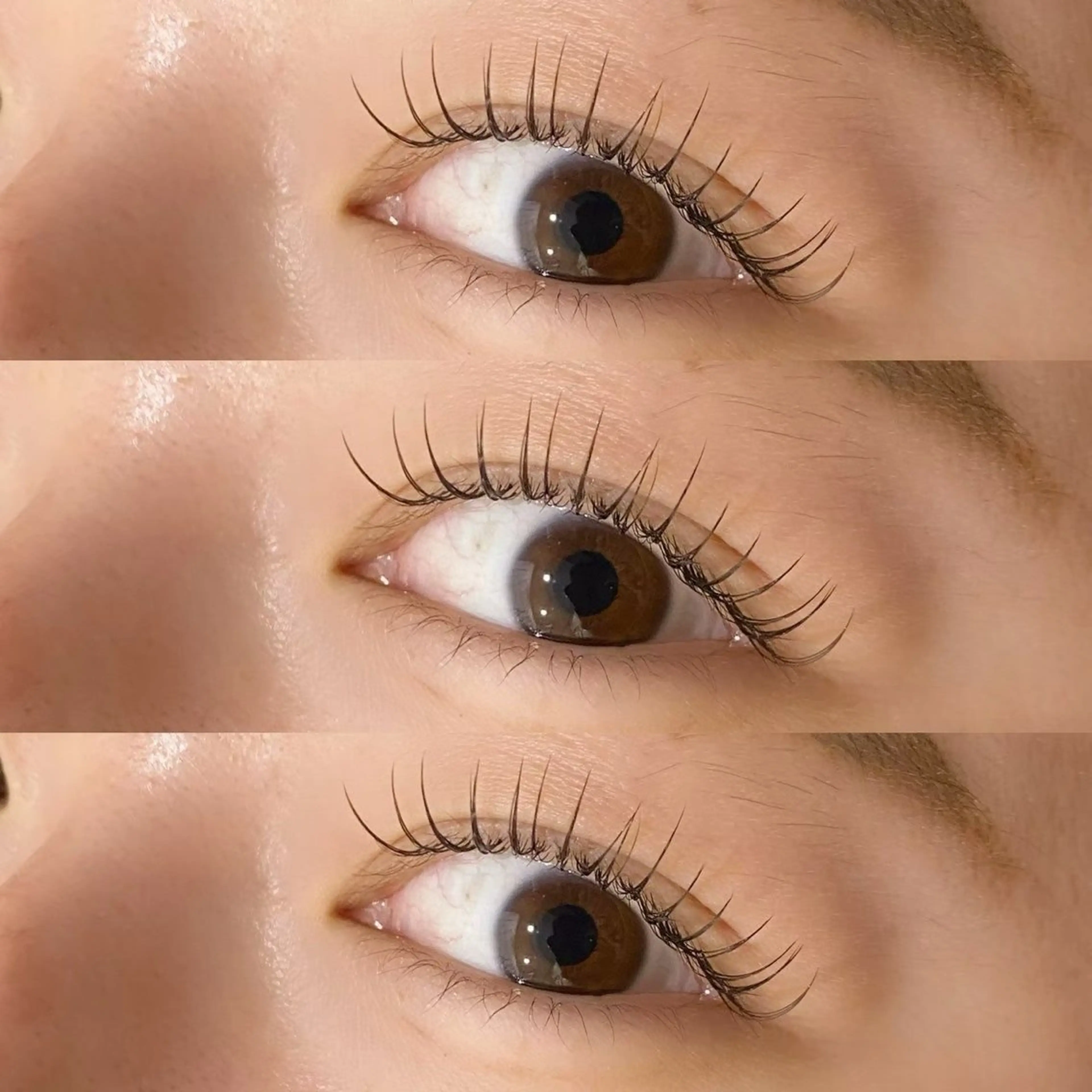 オフ込みフラットラッシュ120本🌷の写真