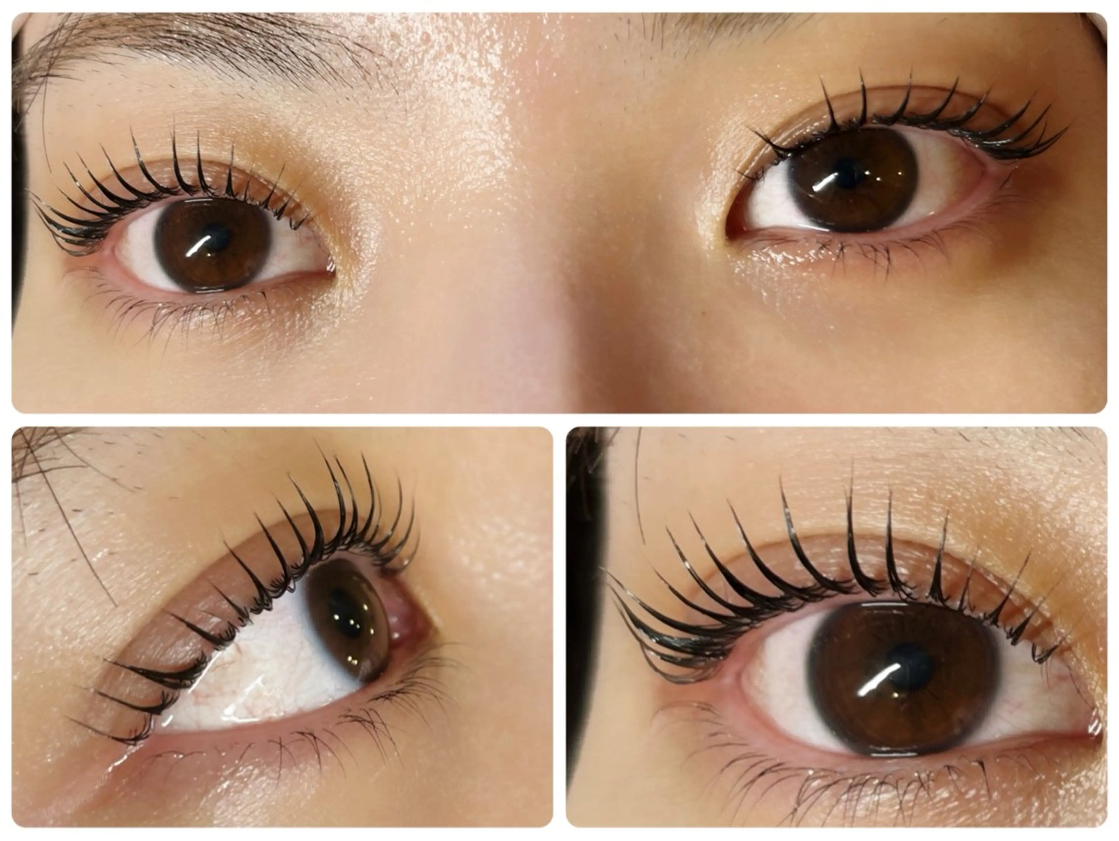 マツエク・マツパ マツパ アイラッシュ ザクア渋谷店のマツエク・マツパデザイン