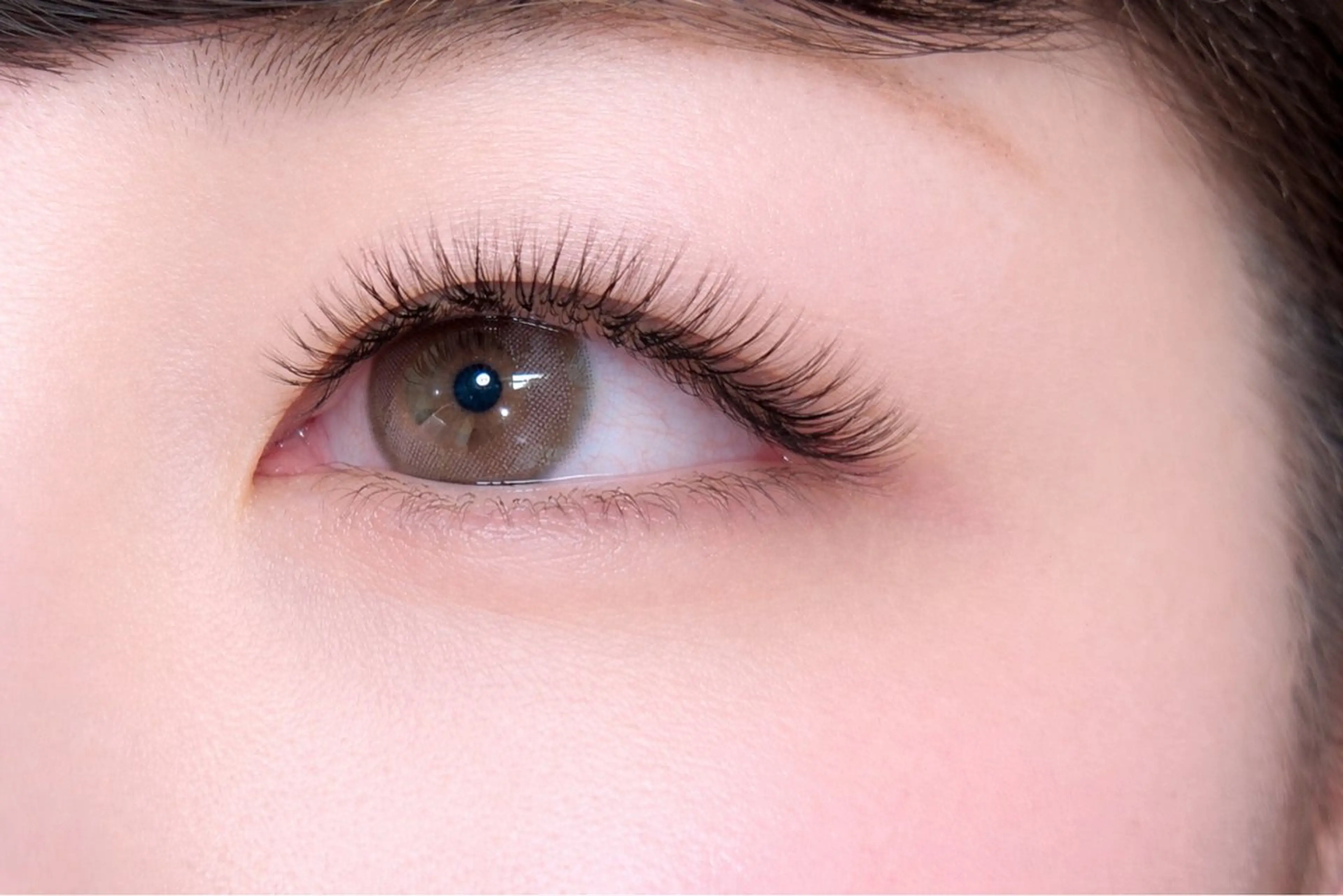 ☆ボリュームラッシュ オフなし100束の写真