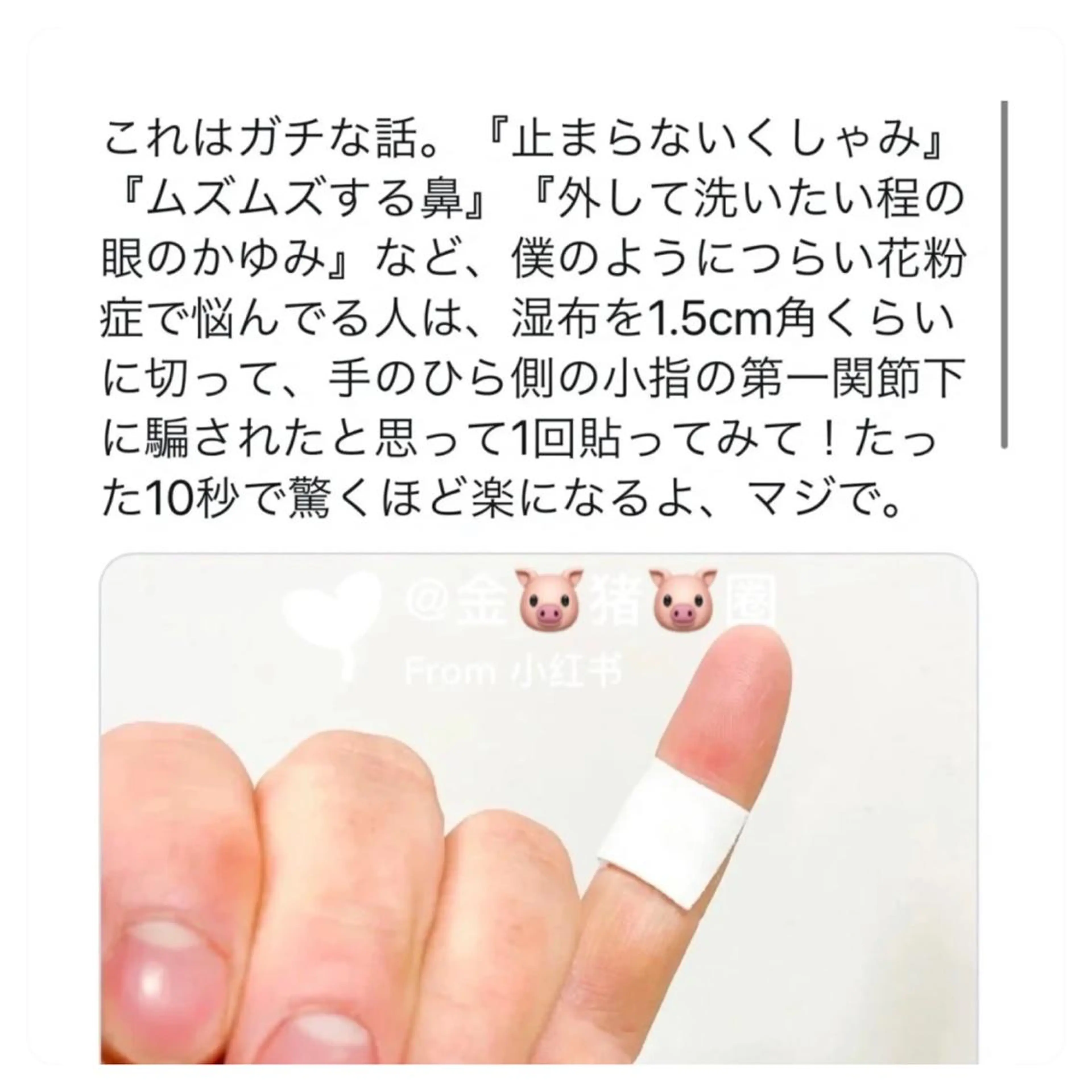 マツエク・マツパ 神山 ビューティー・アイのマツエク・マツパデザイン