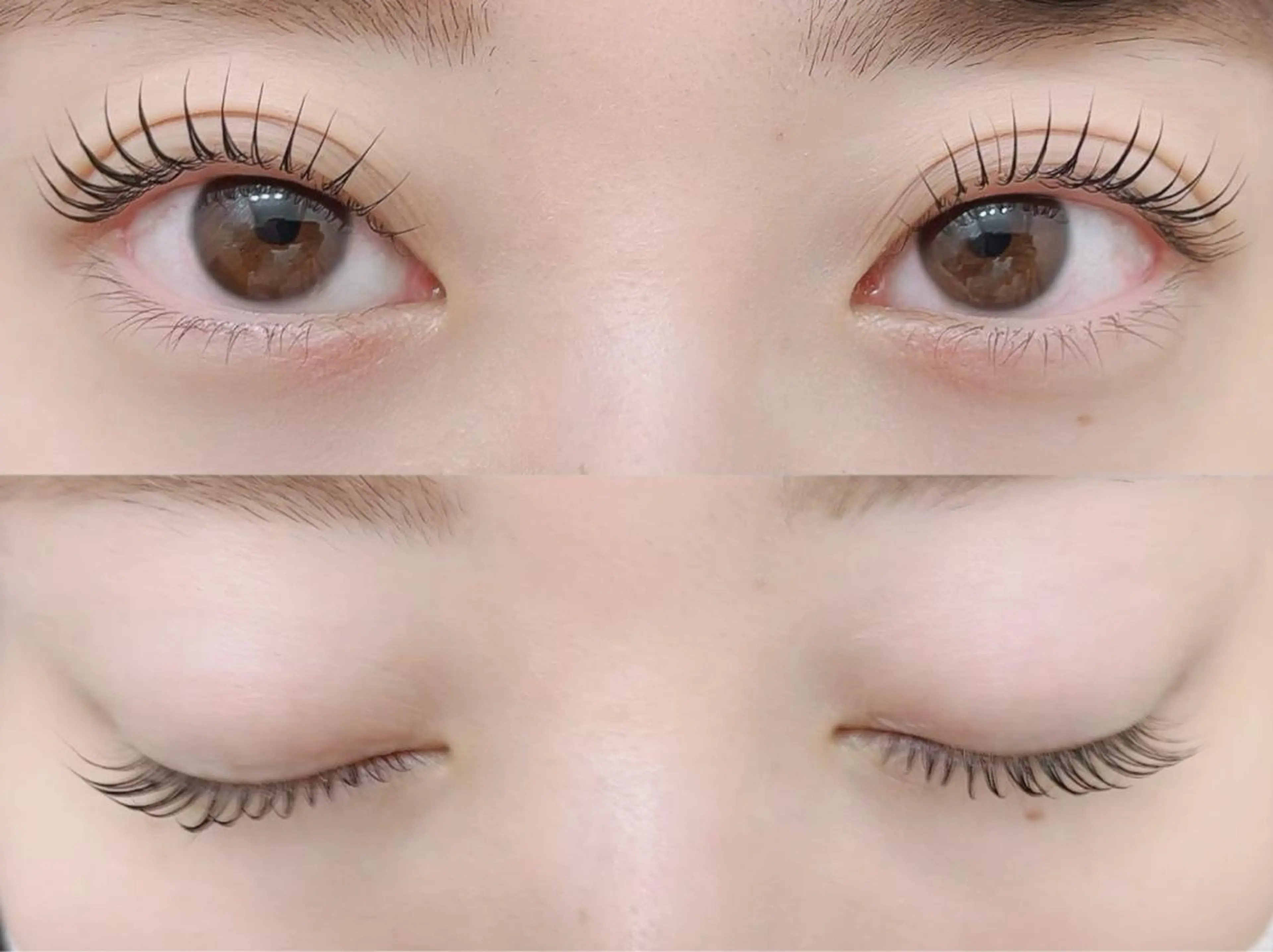 マツエク・マツパ Dカール Rabbit MURAlのマツエク・マツパデザイン