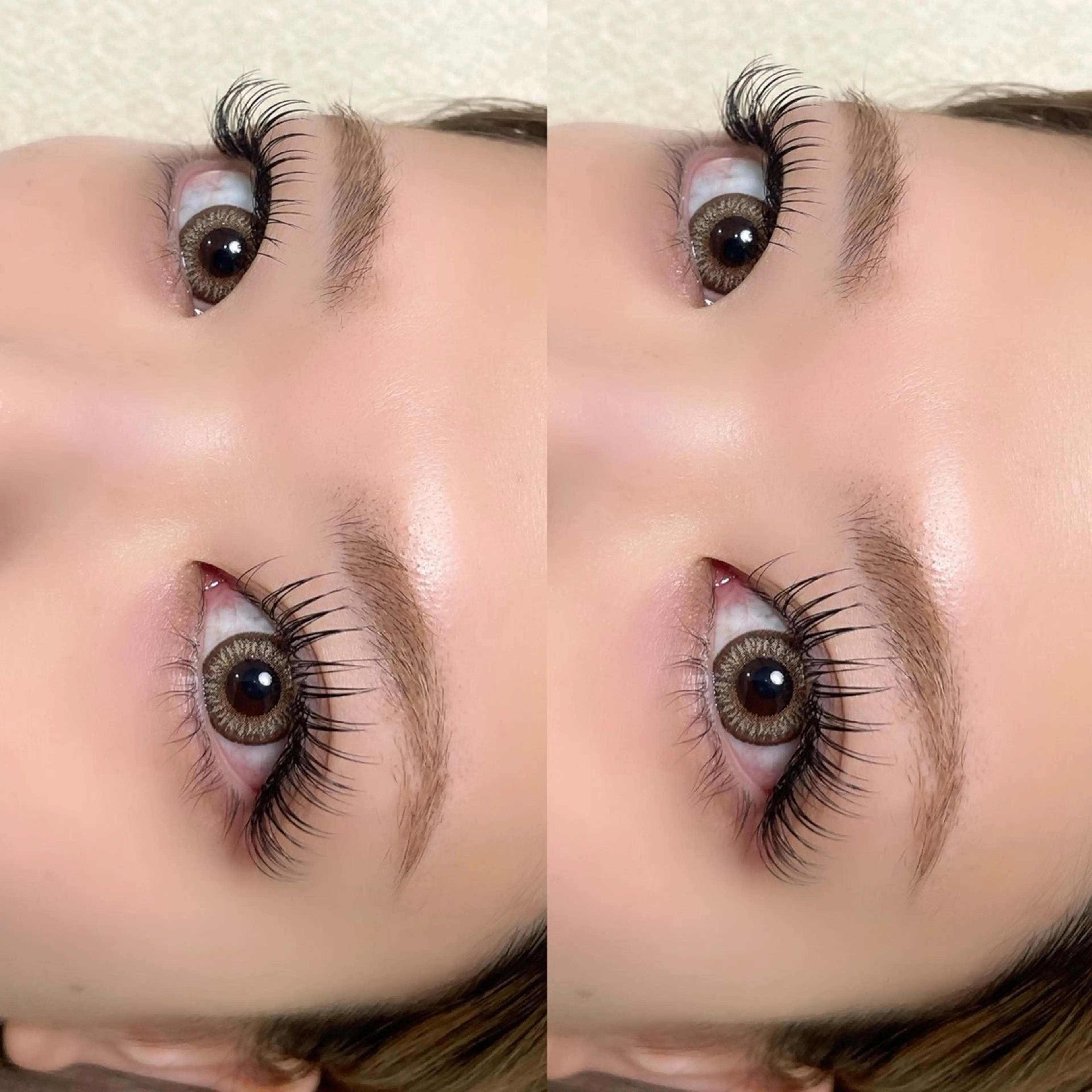 minimo特別価格😊LEDグルーフラットラッシュつけ放題(オフ込)¥7300 コーティング付きの写真