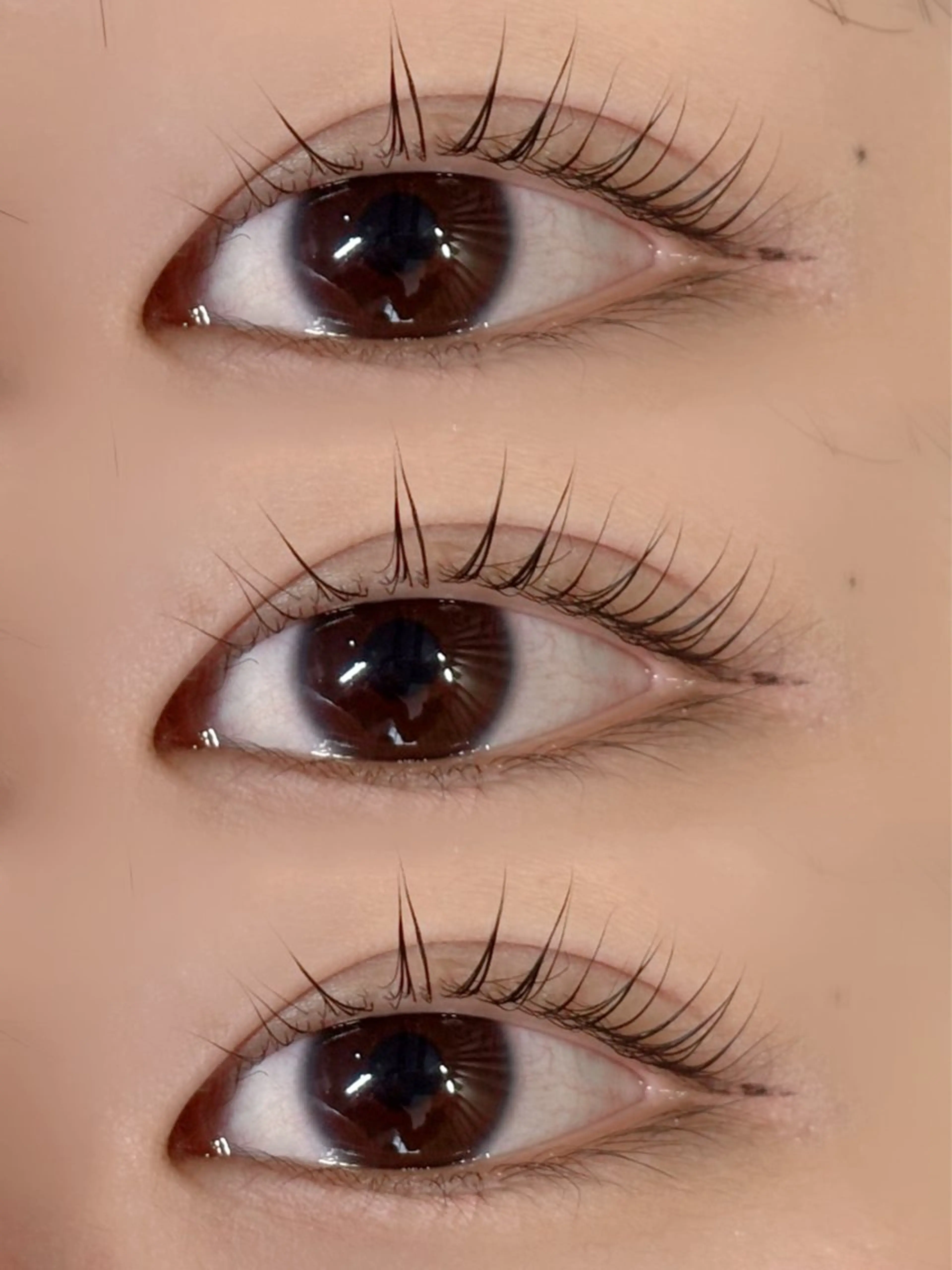 マツエク・マツパ パリジェンヌラッシュリフト Lily mei🎀🎶のマツエク・マツパデザイン