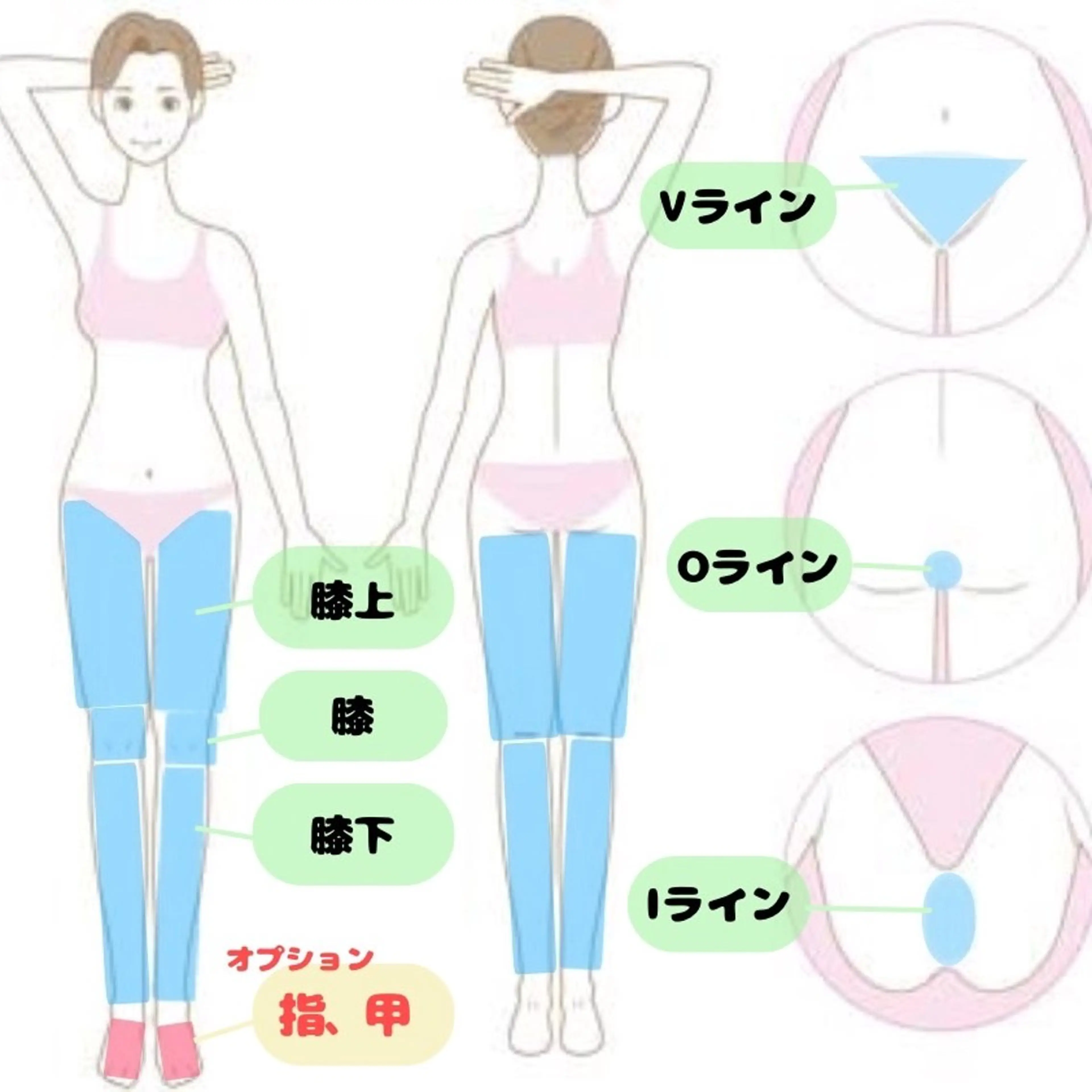 【ここだけやりたい👀】脚、VIO‼️　　　　　1回￥2,200の写真