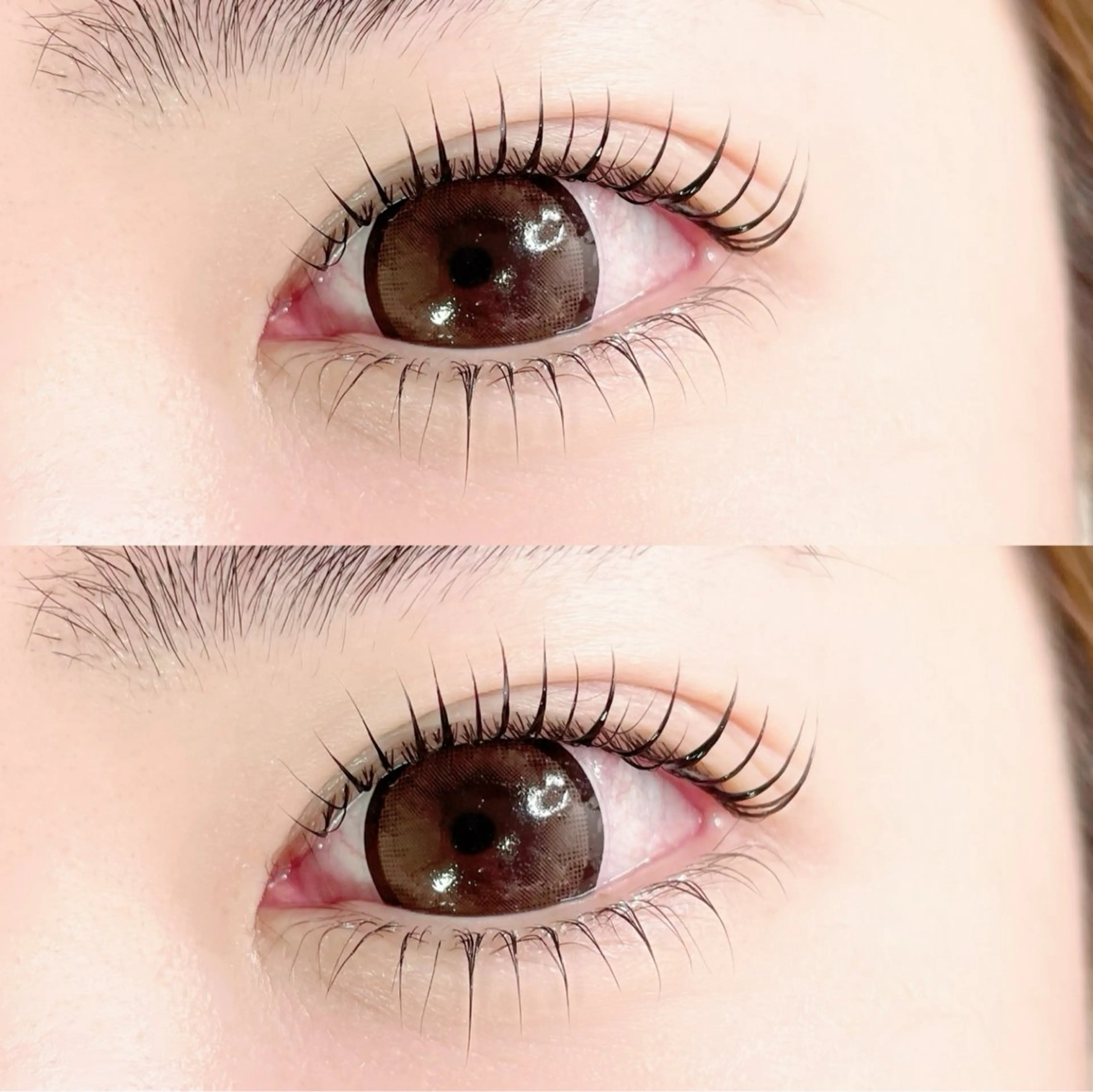 マツエク・マツパ まつげパーマ 下まつげエクステ eyerich 恵比寿店の眉毛・アイブロウイメージ