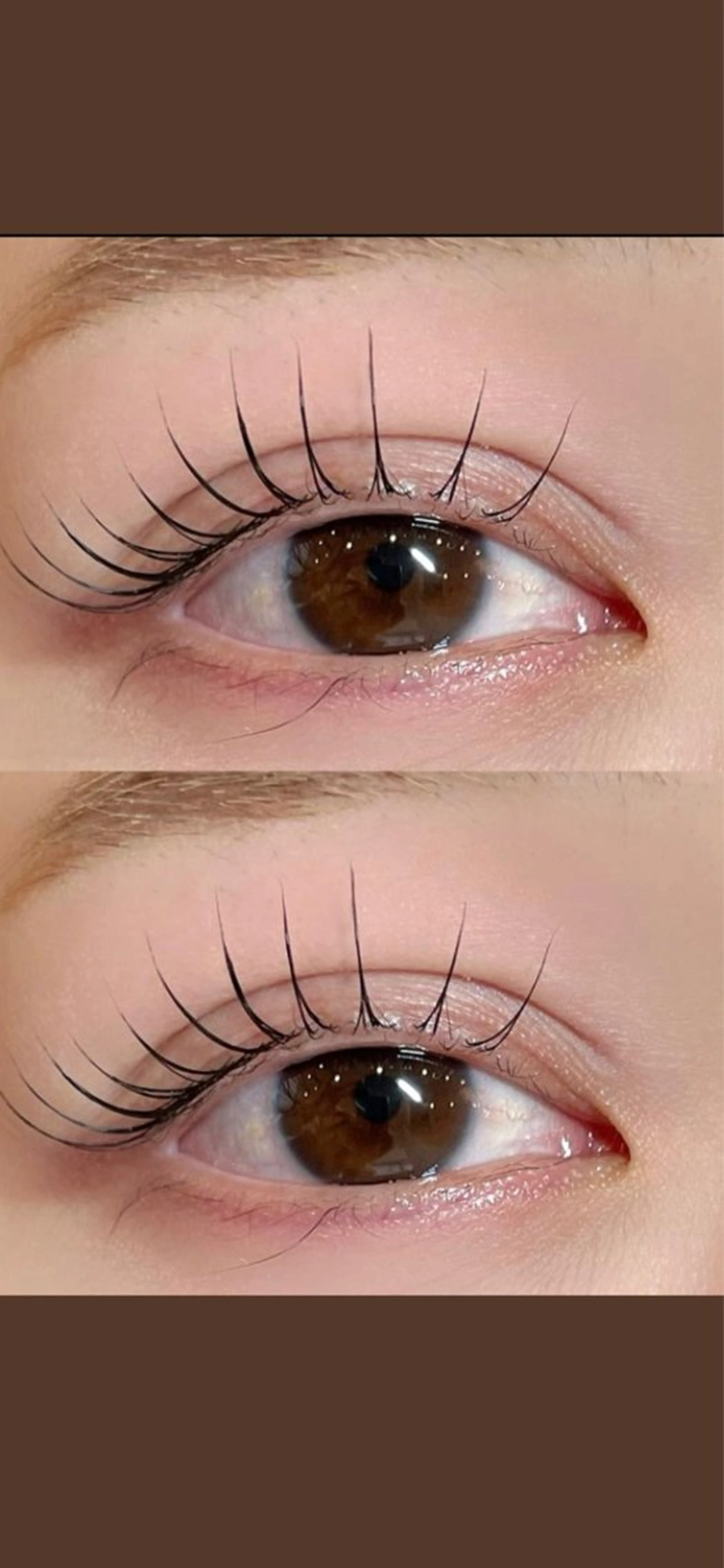 🆕パリジェンヌ（上）+アイバック+コーティング仕上げ✨の写真