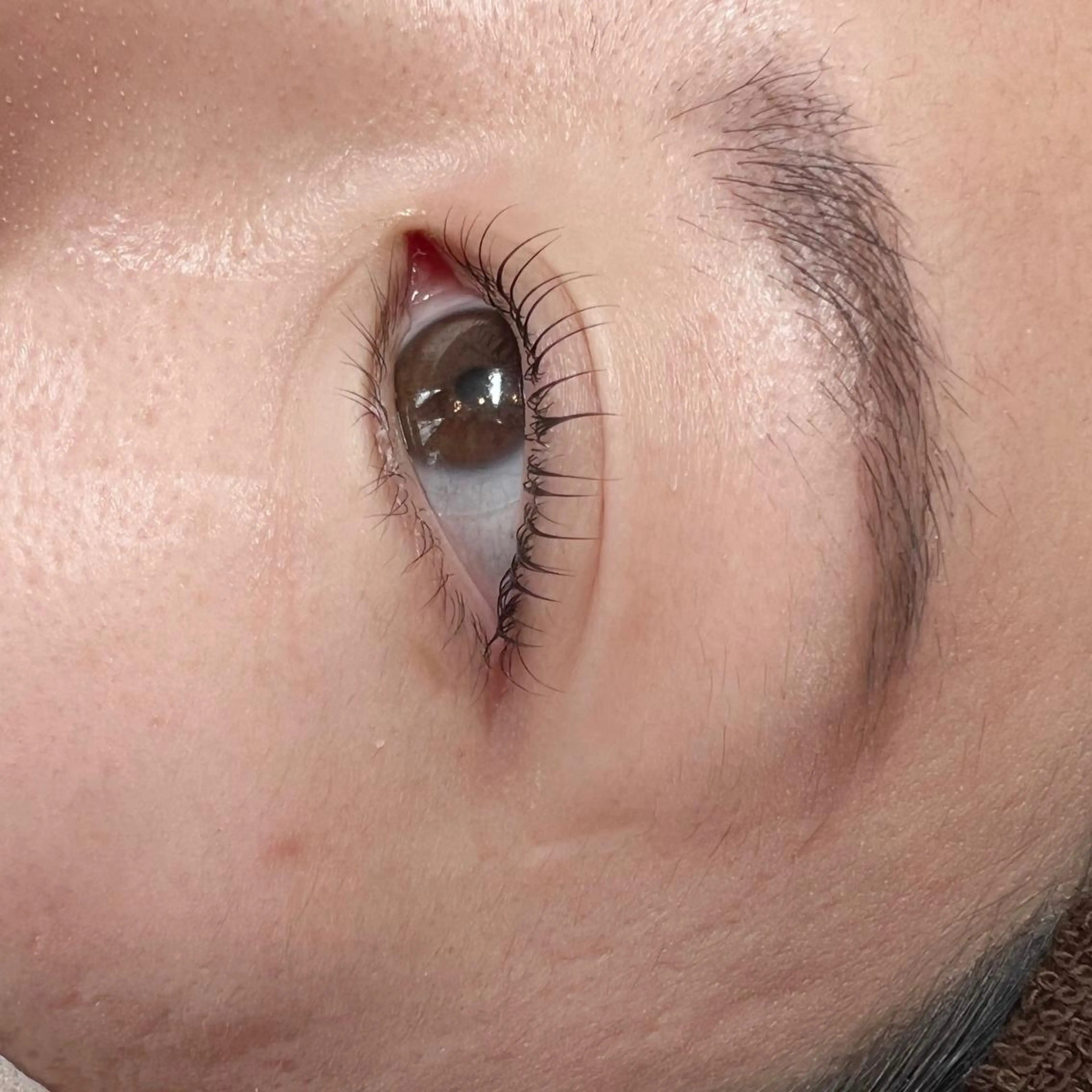 マツエク・マツパ まつげパーマ Eyelist イシバシの眉毛・アイブロウイメージ