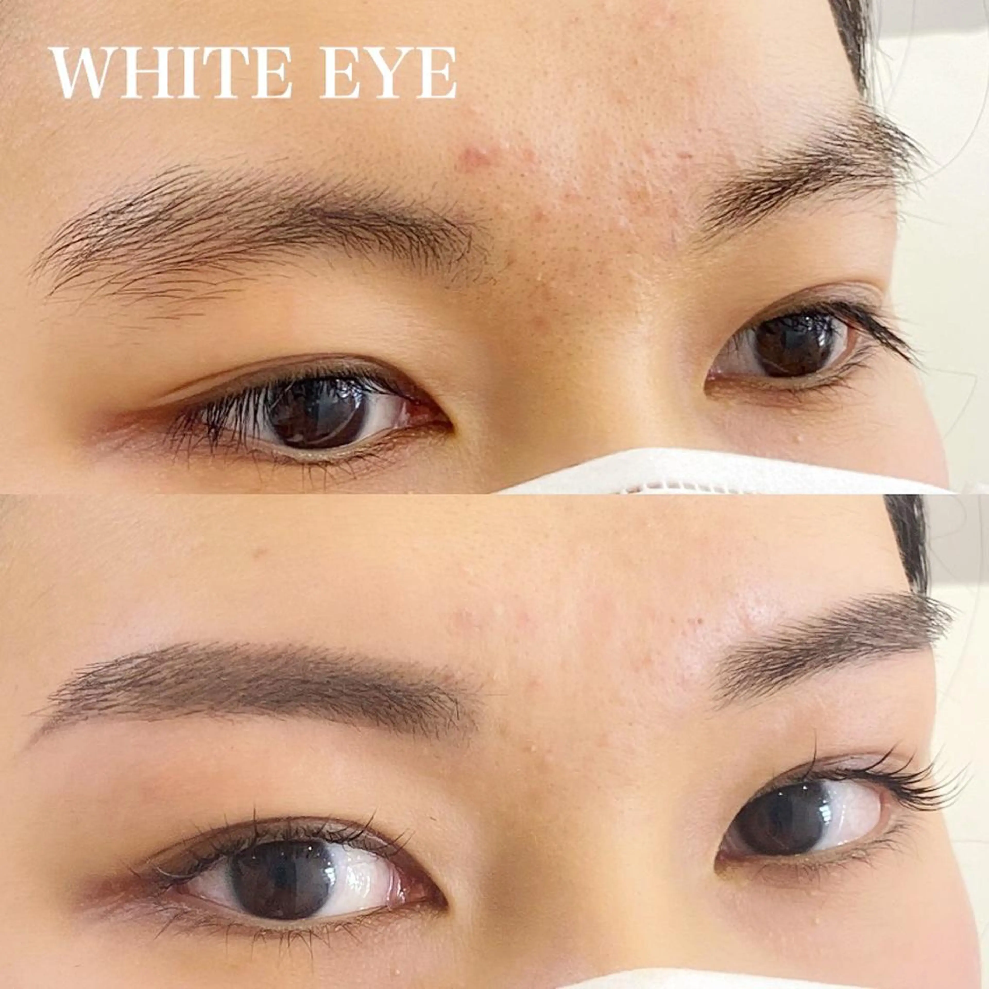 マツエク・マツパ 一重×まつ毛パーマ WHITE EYE 🦋松島の眉毛・アイブロウイメージ