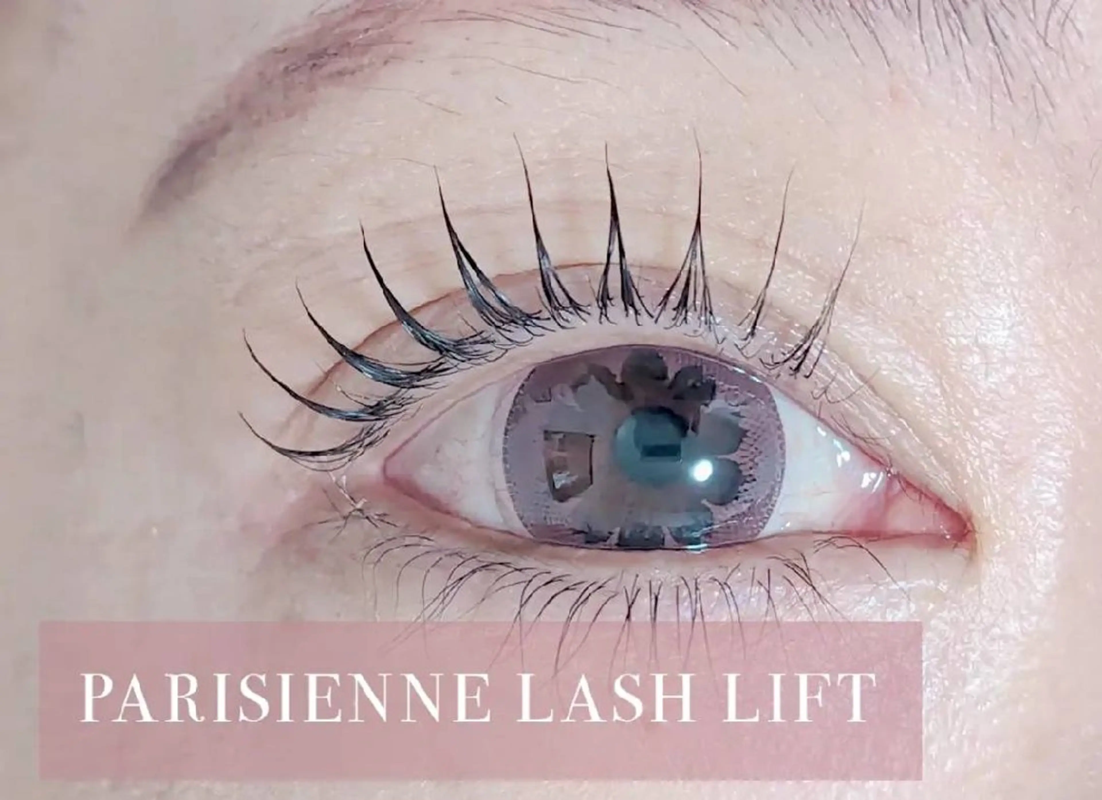 🎀パリジェンヌラッシュリフト🎀の写真