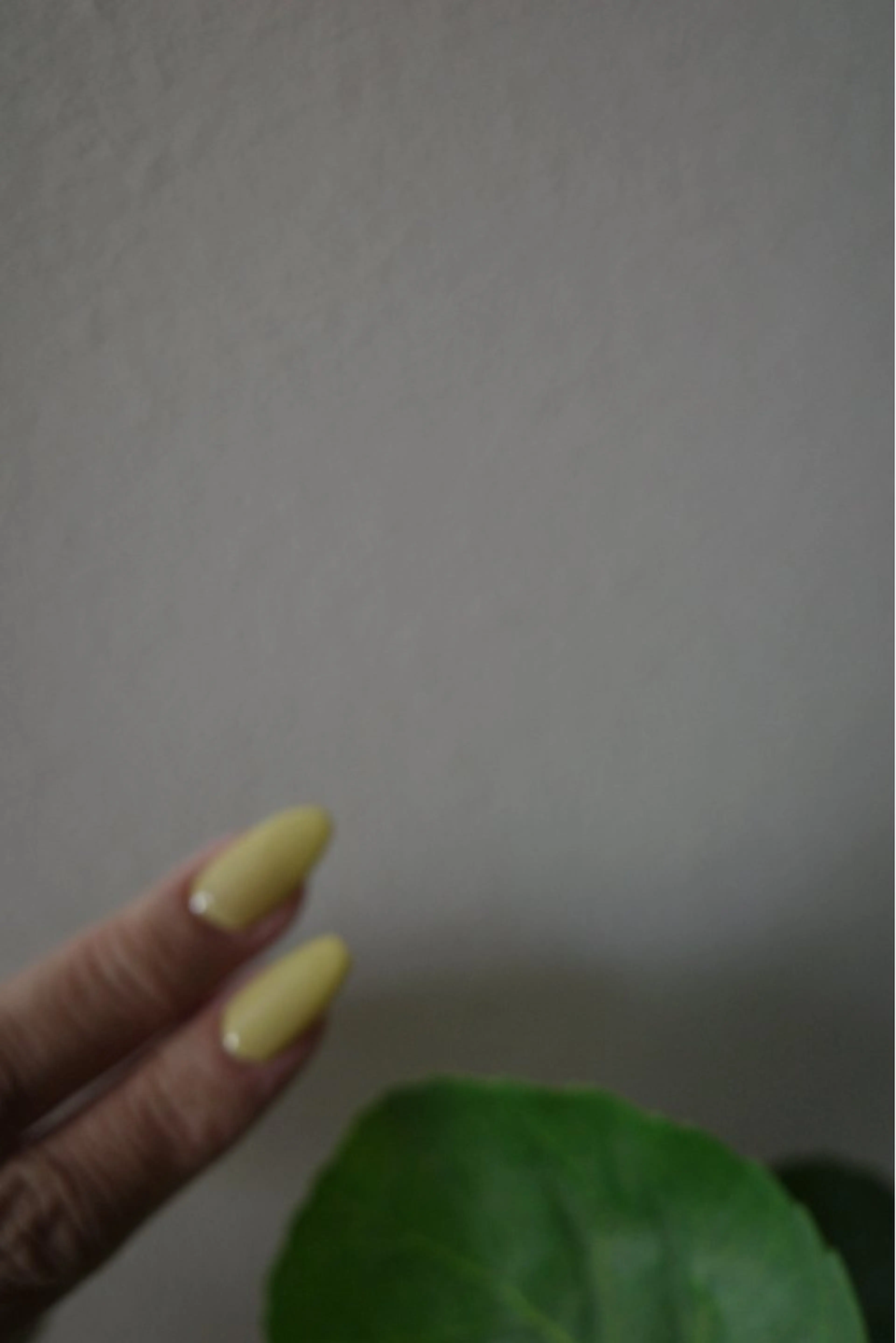 ワンカラーの写真