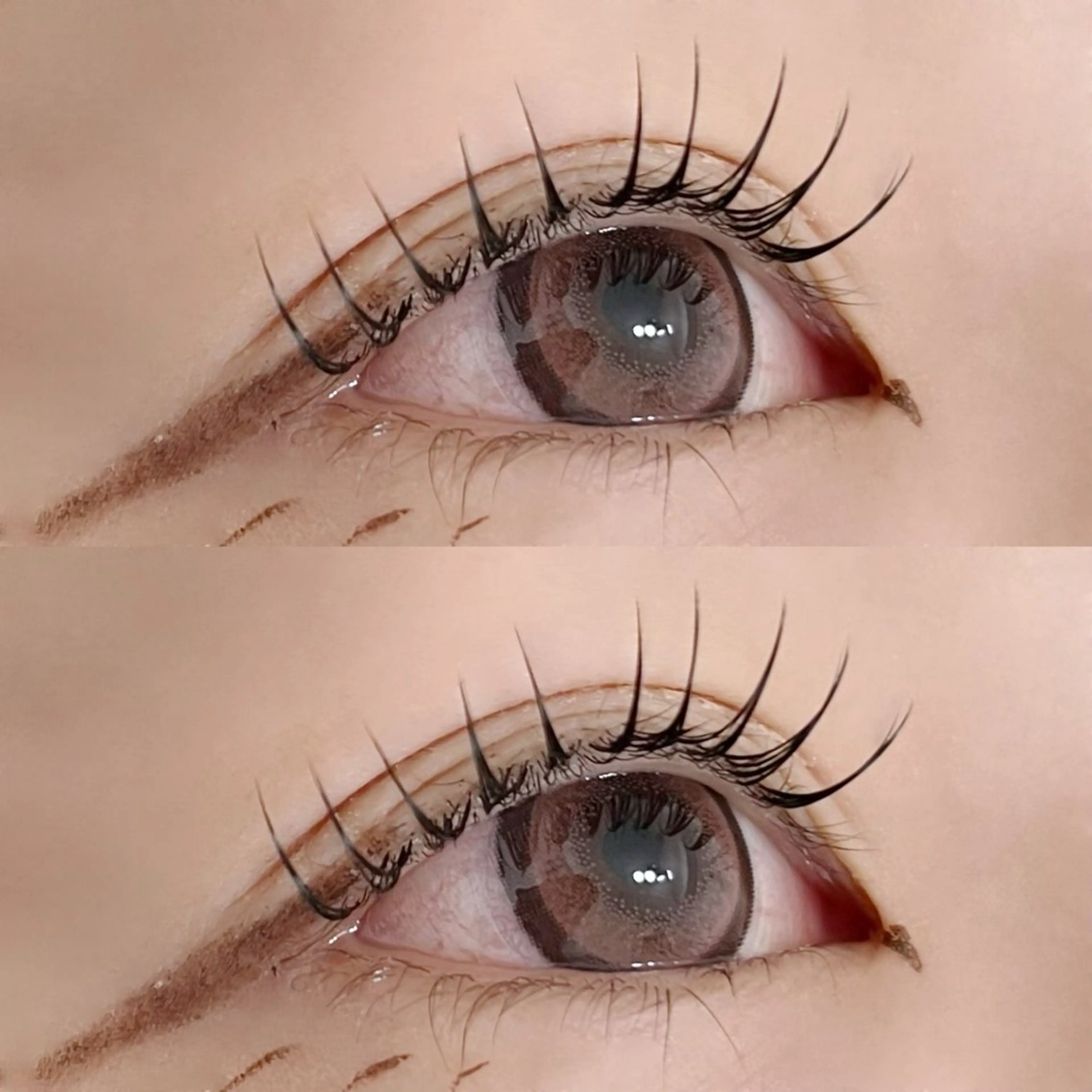 セーブル80本の写真