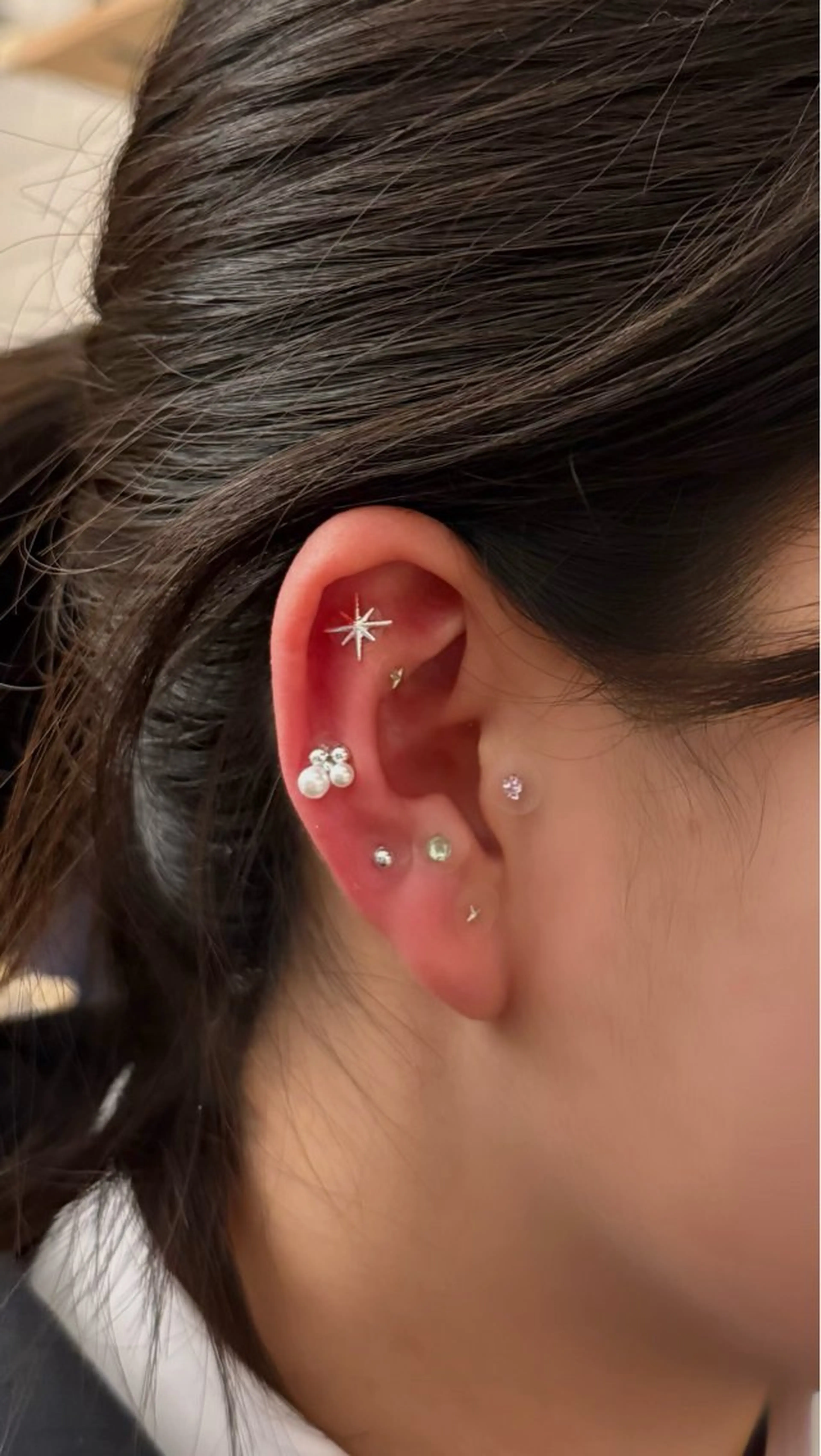 B.napus Nanohaのその他イメージ