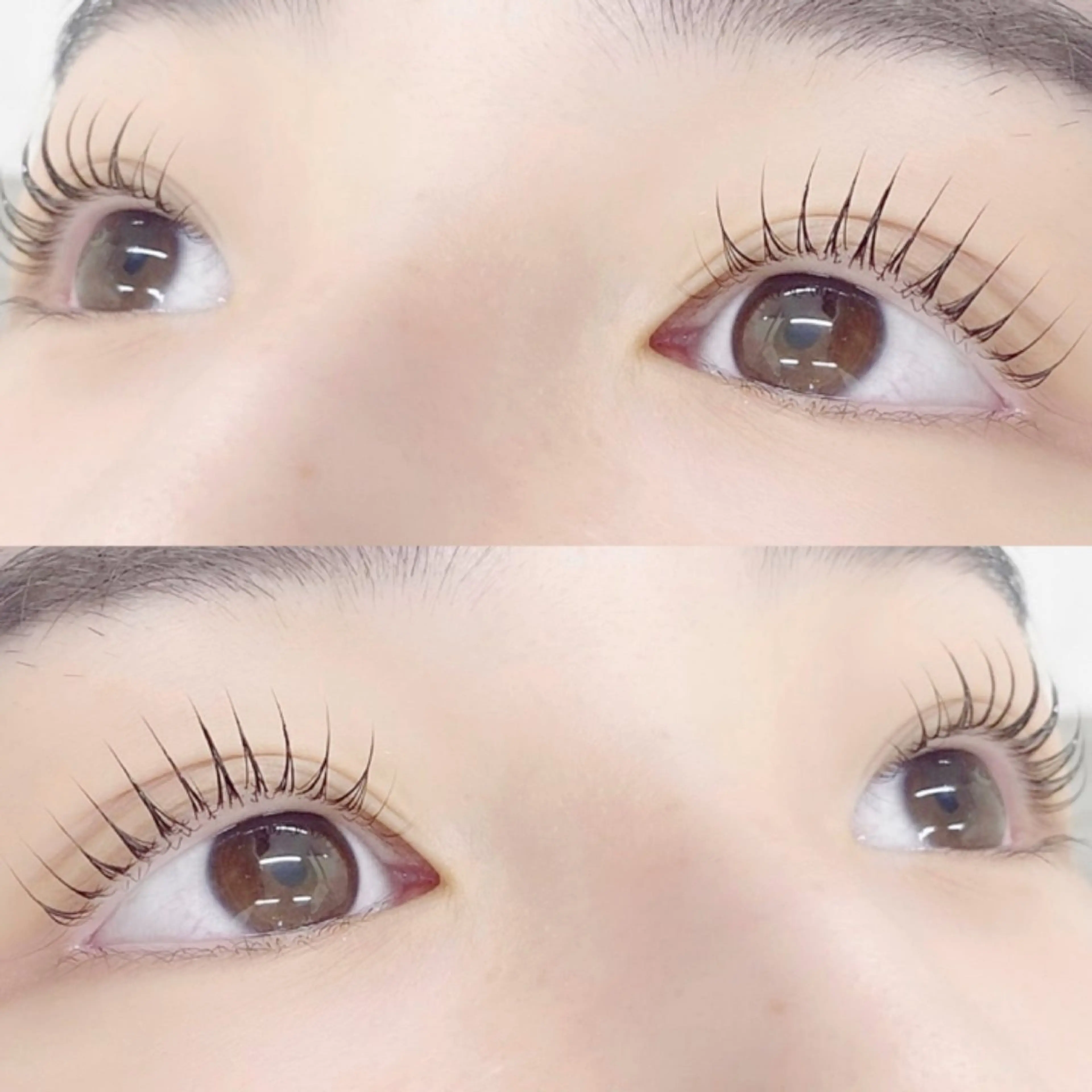 マツエク・マツパ 🌼Alba🌼 犬馬塲のマツエク・マツパデザイン