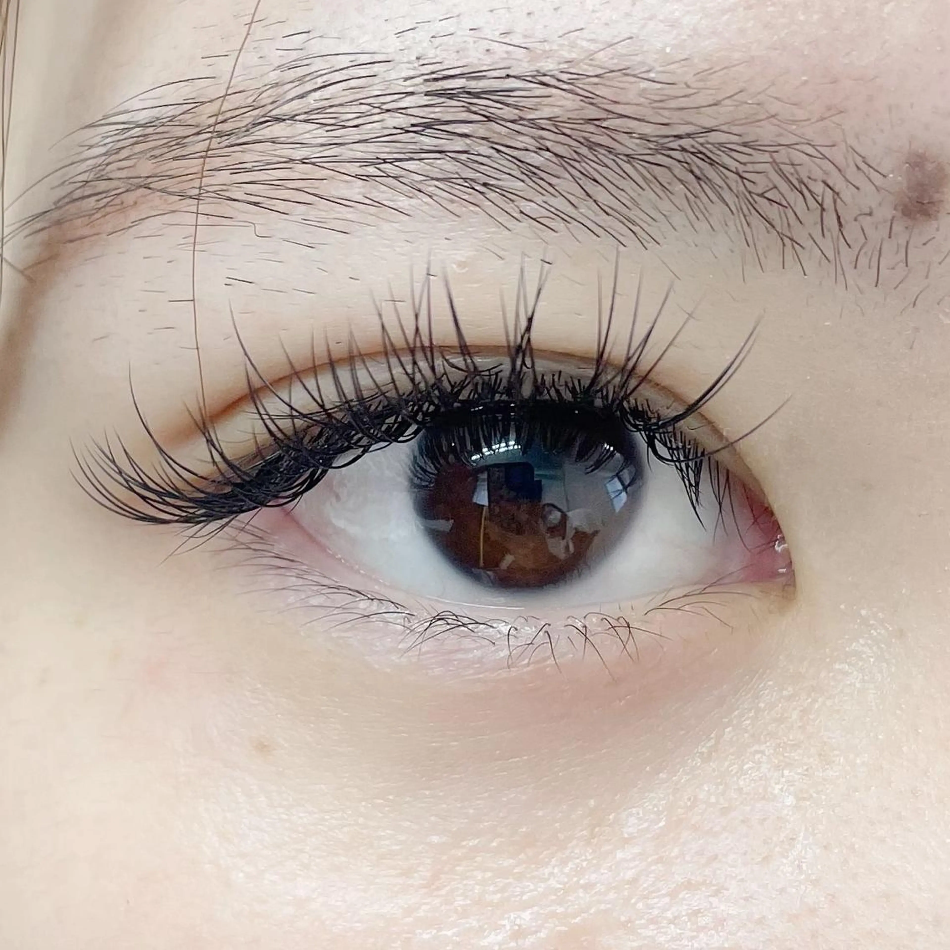 マツエク・マツパ Cカール ナチュラル セーブル yuzuka ❤︎のマツエク・マツパデザイン