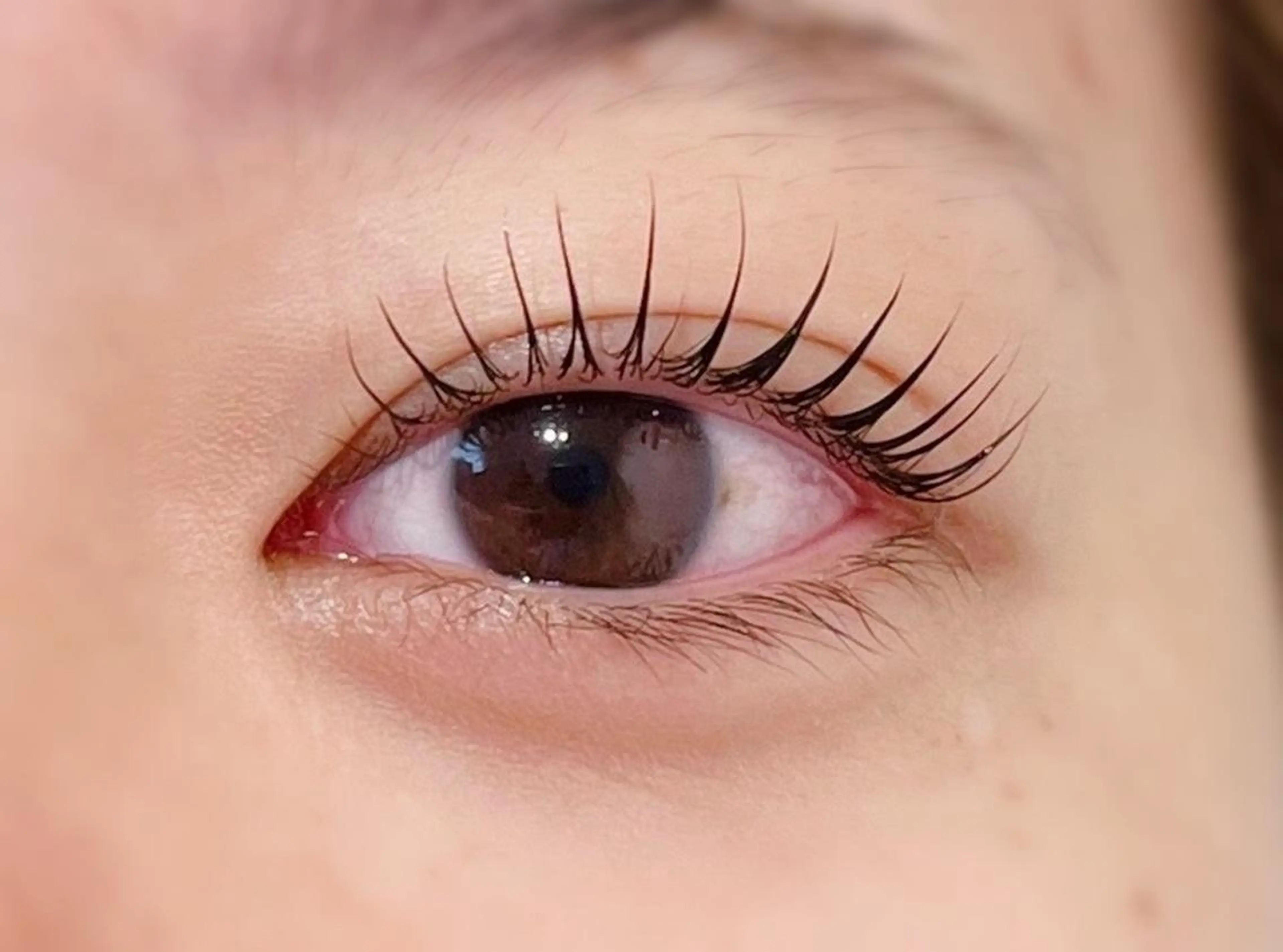 マツエク・マツパ 束感まつ毛 韓国風マツエク まつげパーマ マツパ Biolus／天王寺 2号店🌸noa🌸のマツエク・マツパデザイン