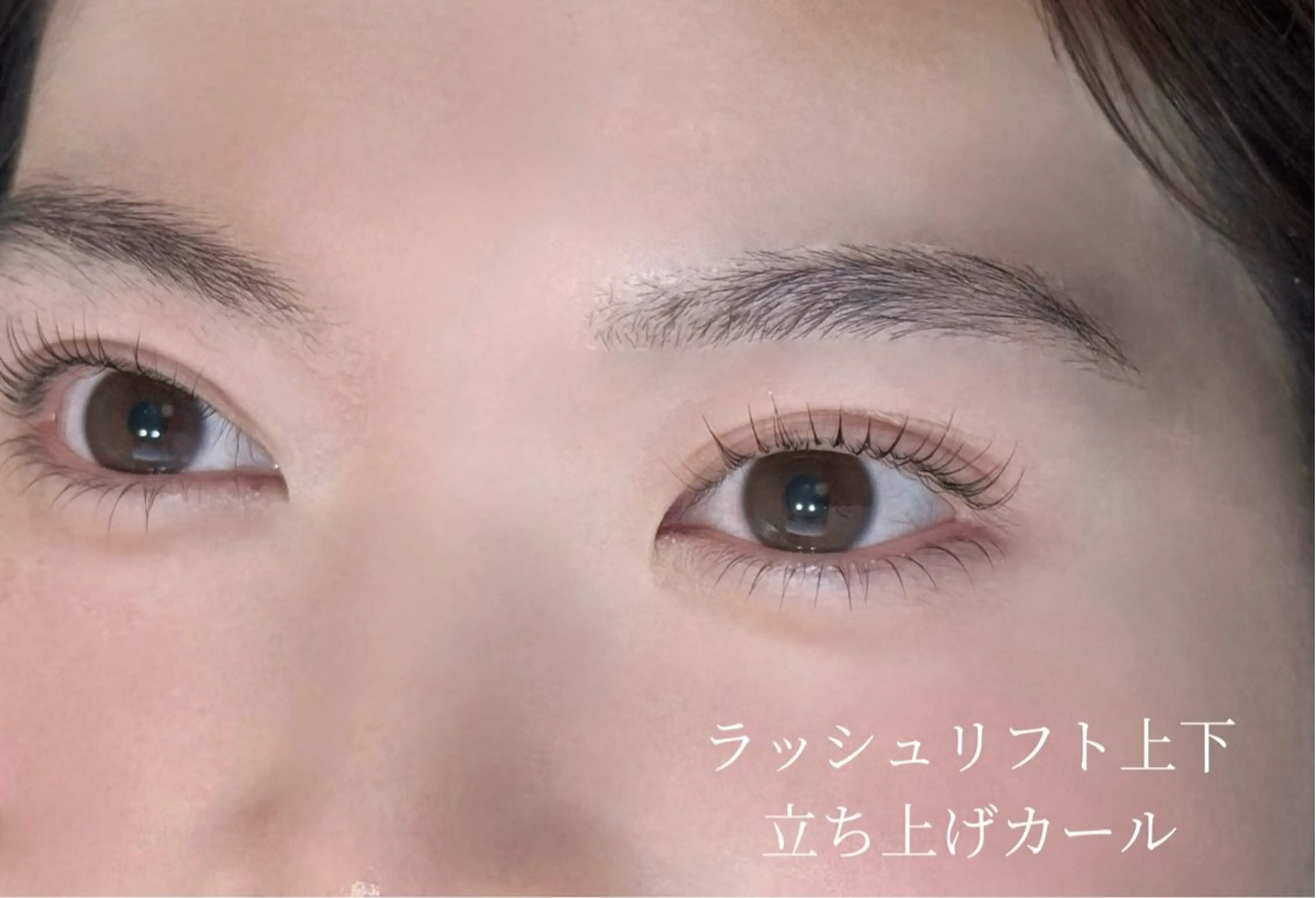 ラッシュリフト上下(トリートメント付き)の写真