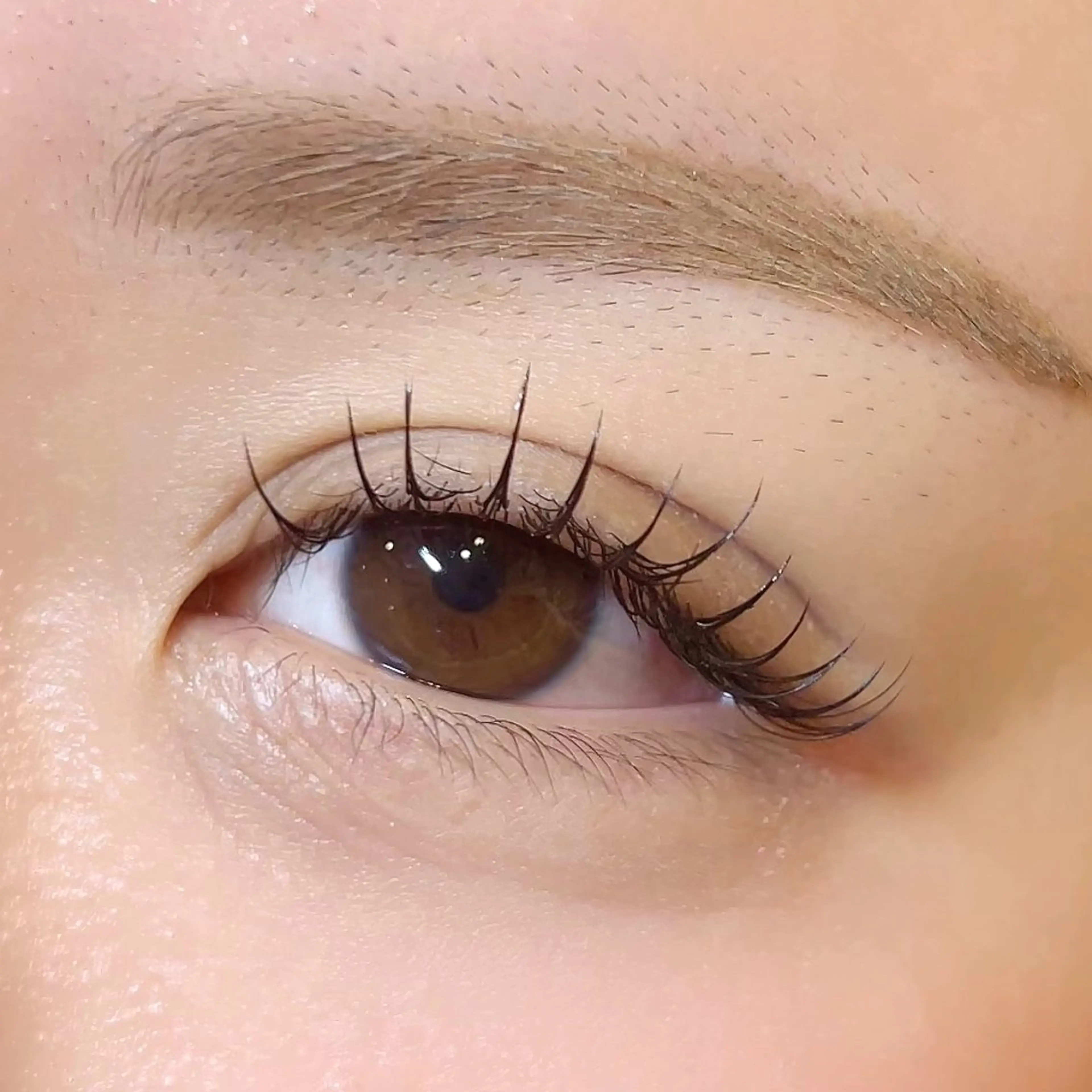 マツエク・マツパ Cカール フラットラッシュ デイジーラッシュ京橋 徳永のマツエク・マツパデザイン