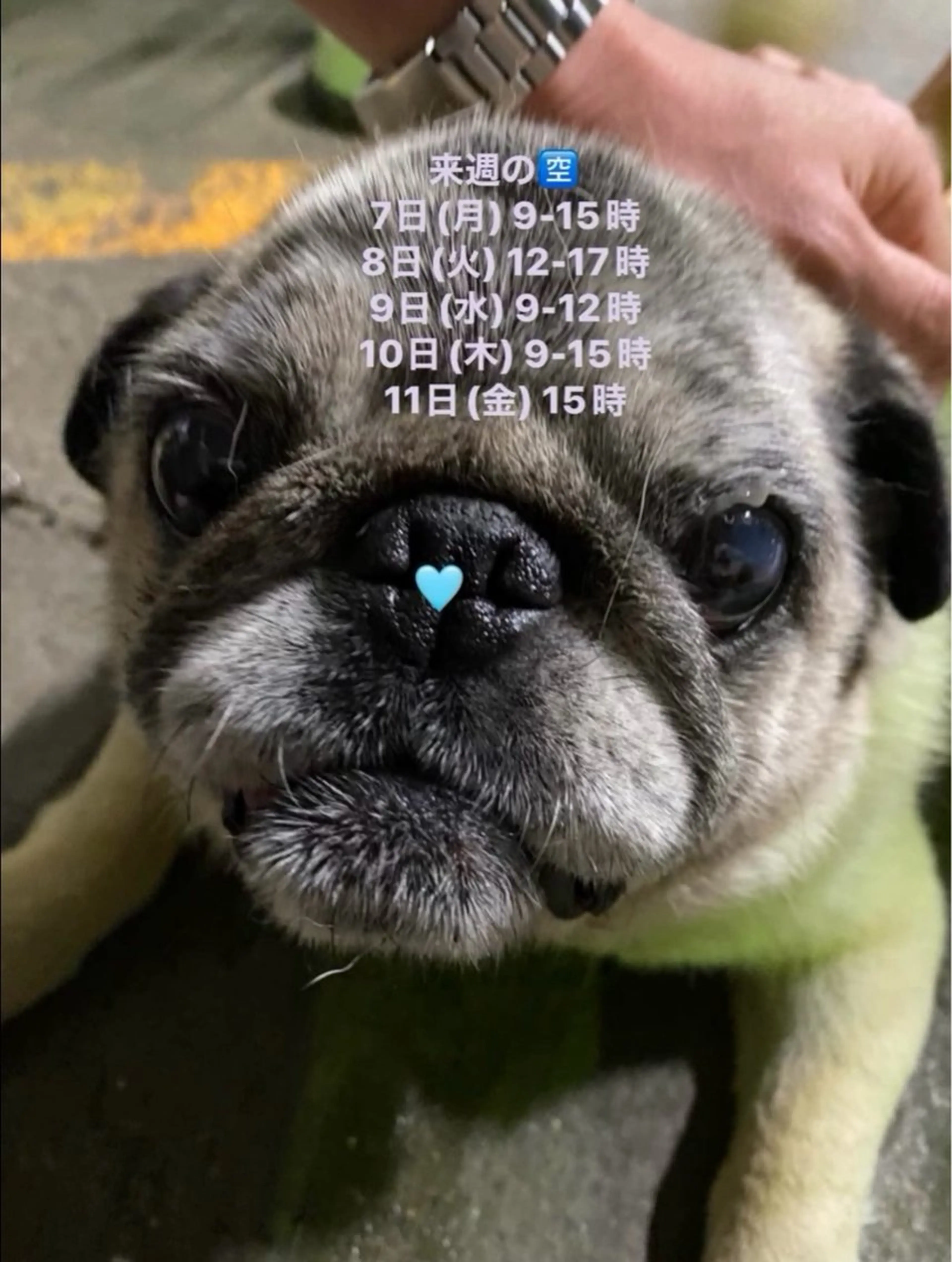 清水 由希のエステ・リラクイメージ