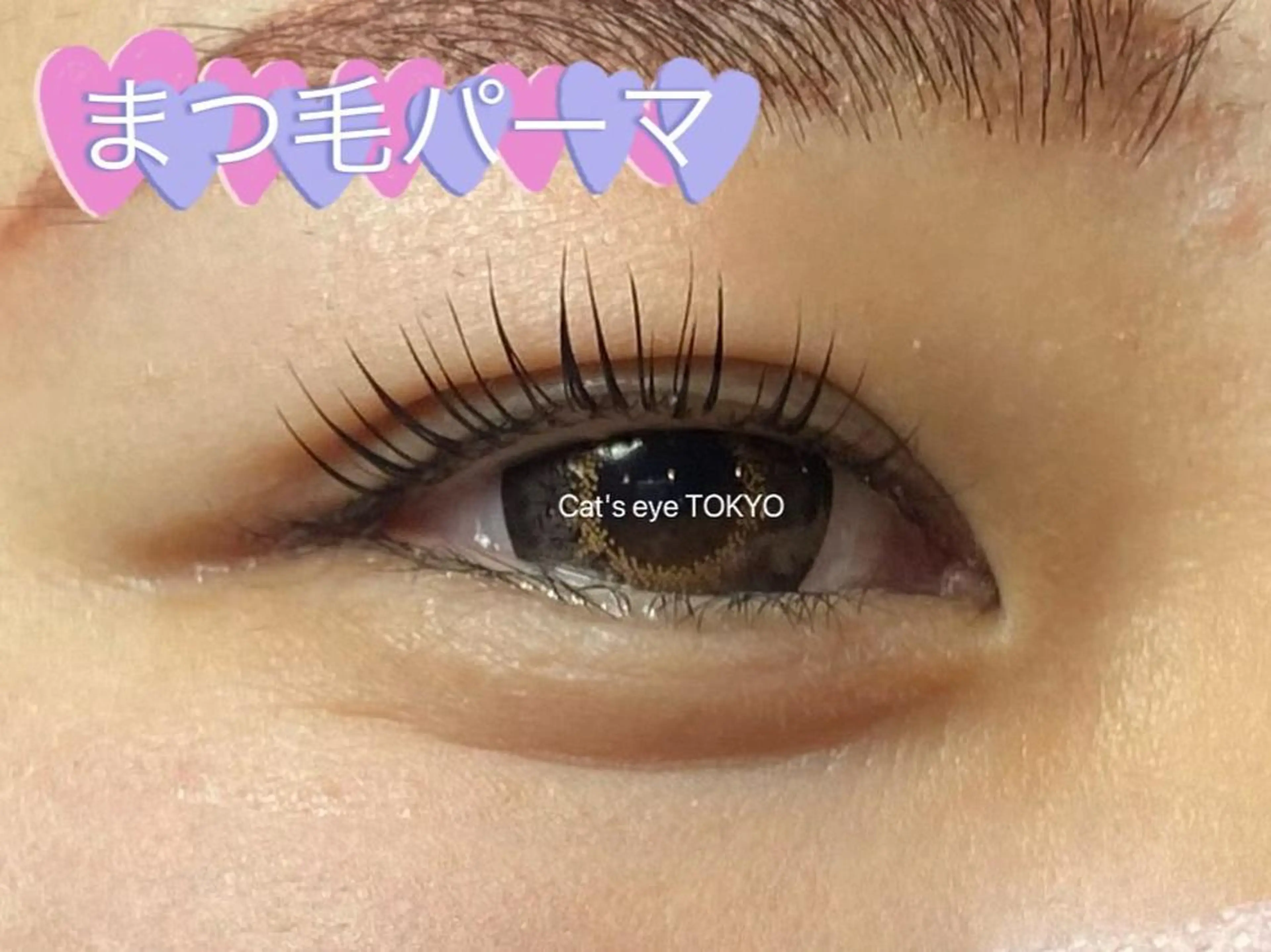 ネイル マツエク・マツパ 一重×まつ毛パーマ Cat's eye TOKYO 新宿店のネイルデザイン