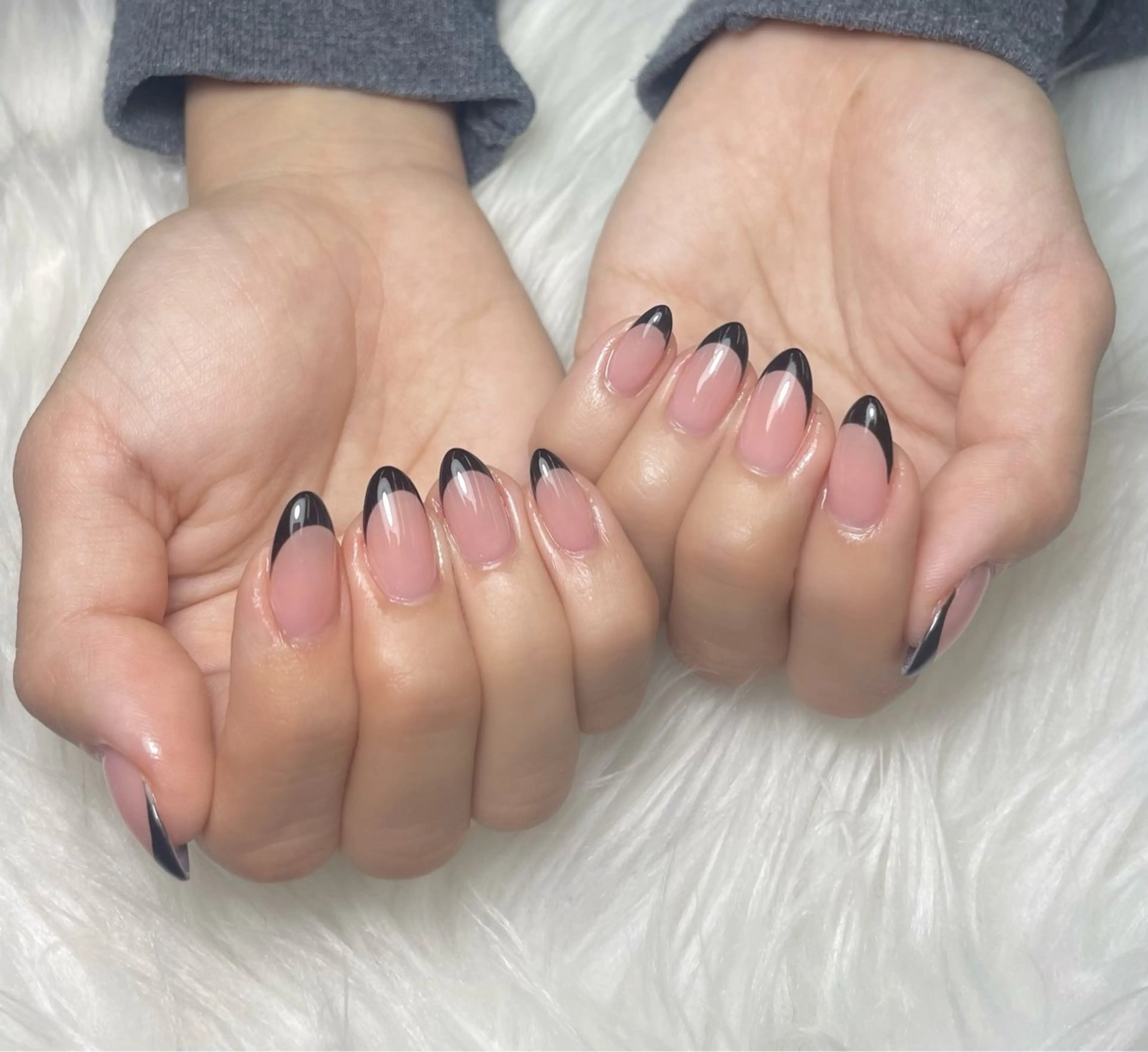 フレンチの写真