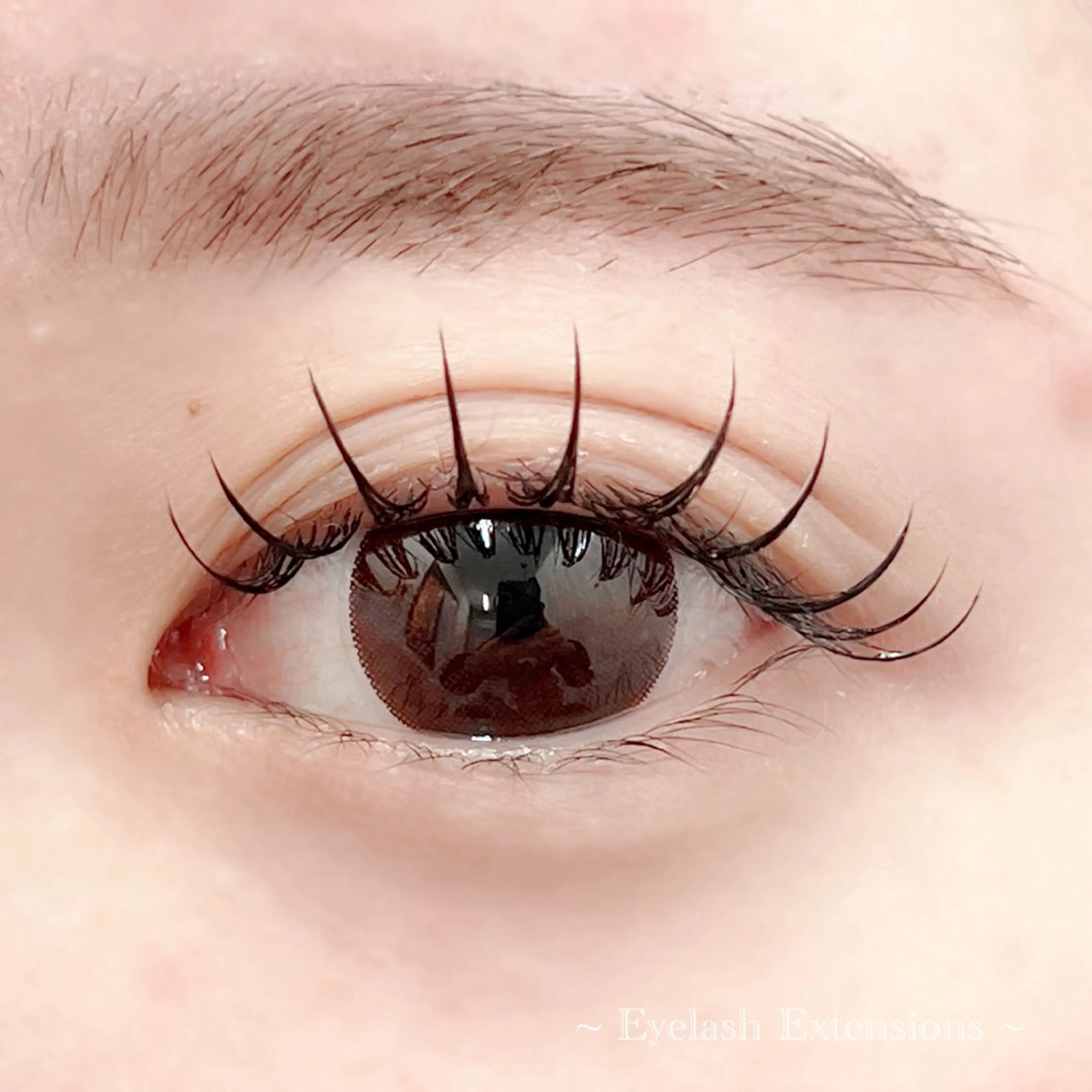 オフ無料✨️フラットラッシュ100本まで~お仕上げコーティング付き🪄︎︎✨~の写真